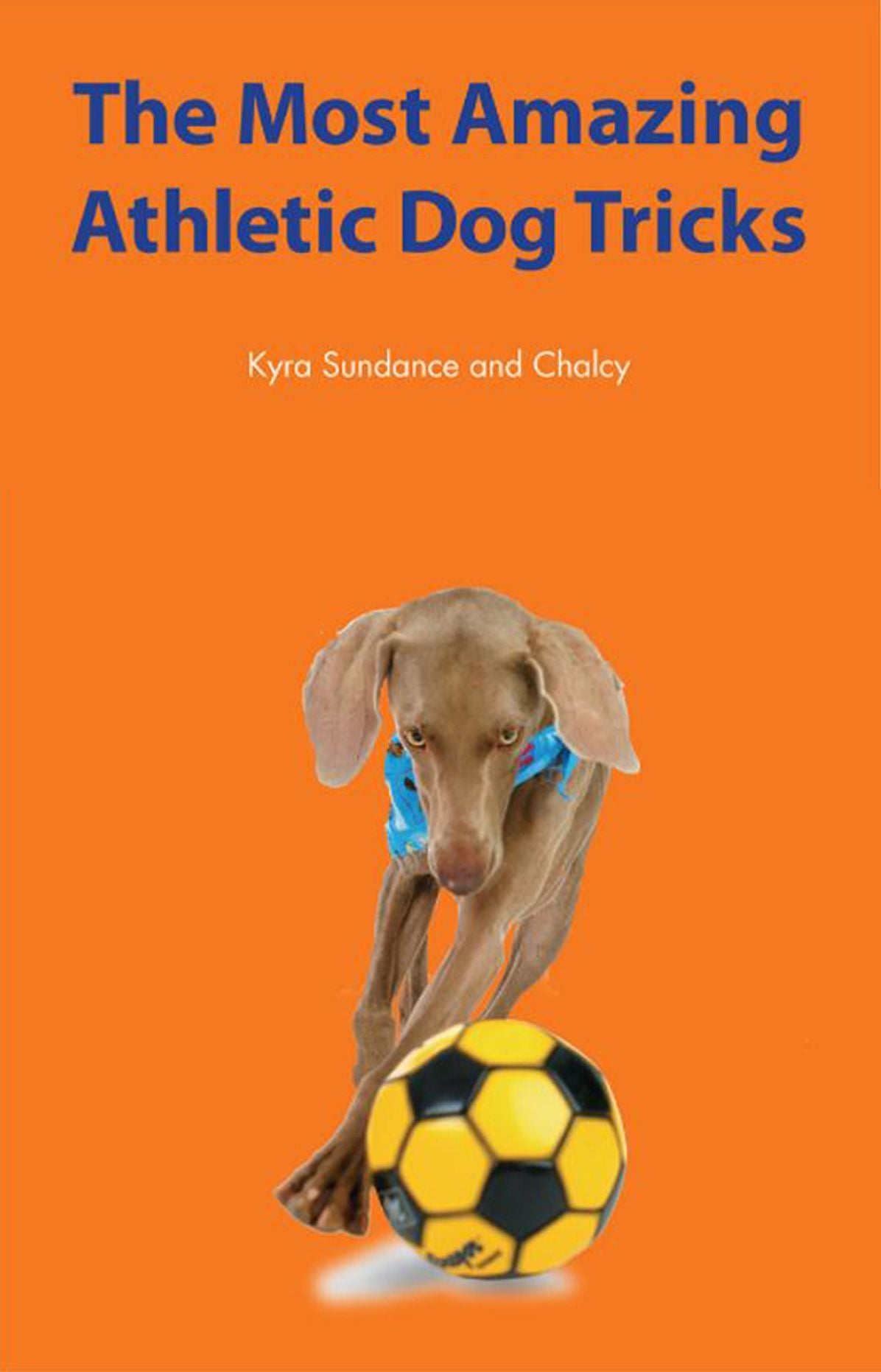 The Most Amazing Athletic Dog Tricks