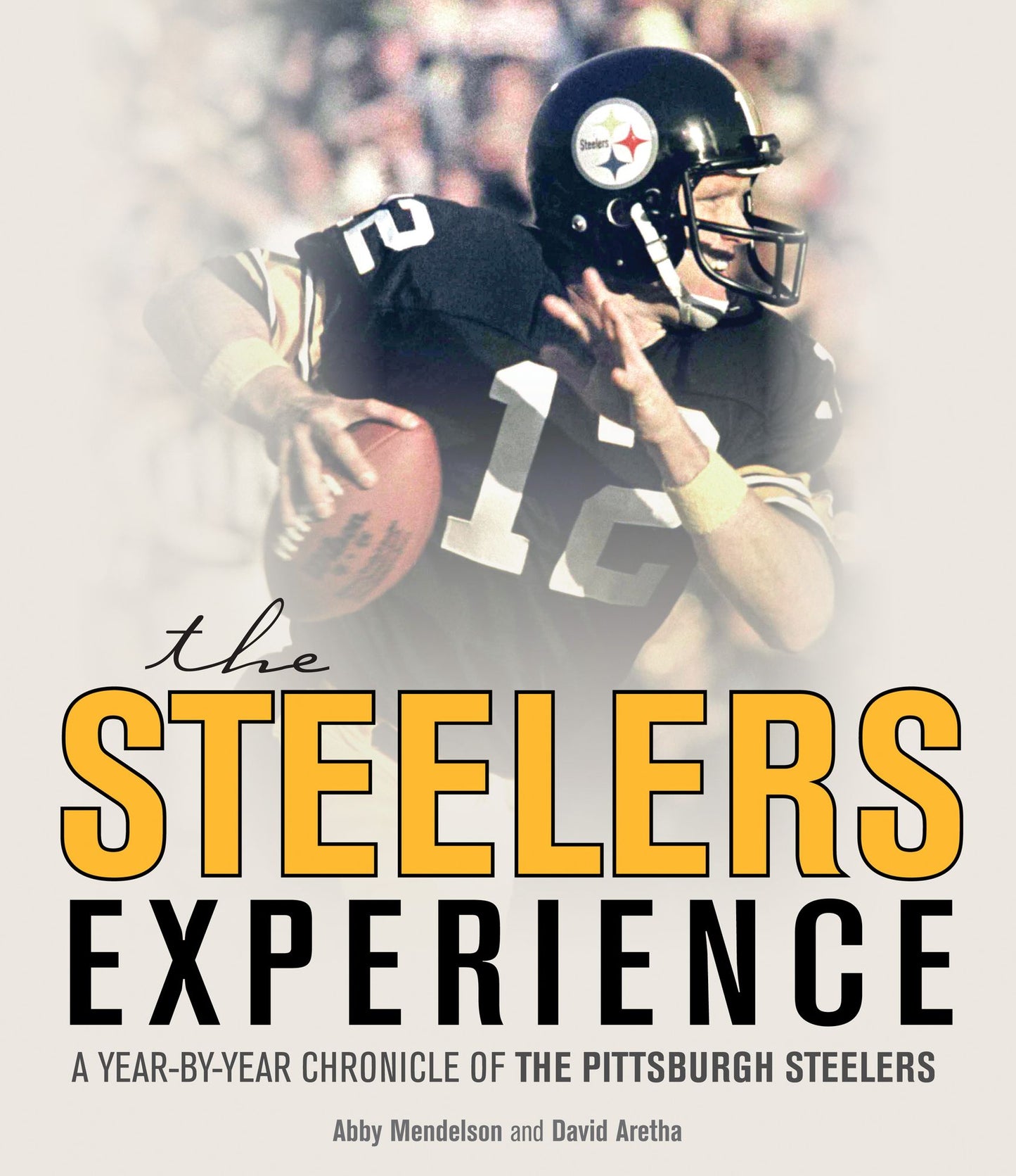 The Steeler's Experience (PagePerfect NOOK Book)