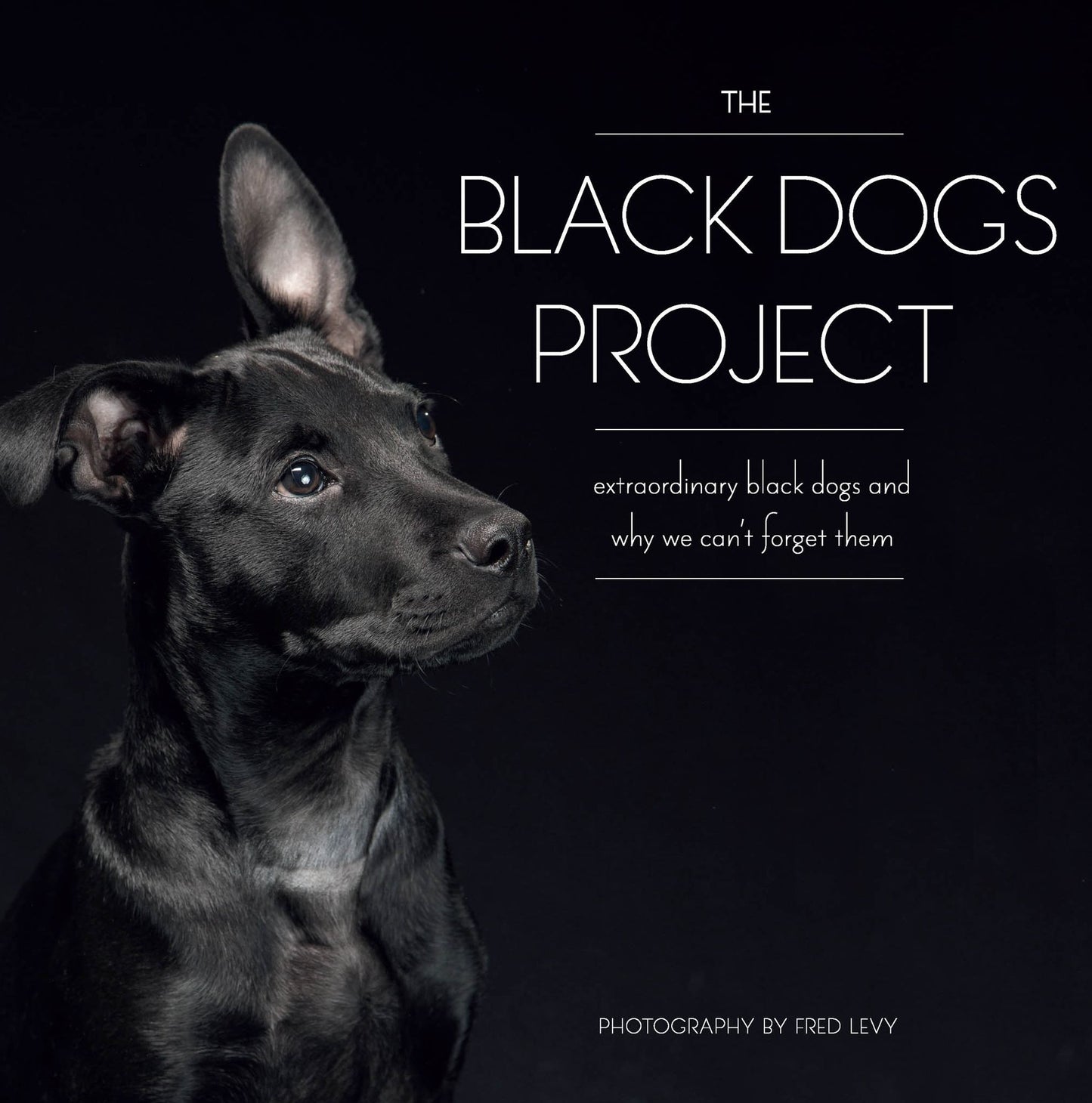 The Black Dogs Project: Extraordinary Black Dogs and Why We Can't Forget Them (PagePerfect NOOK Book)