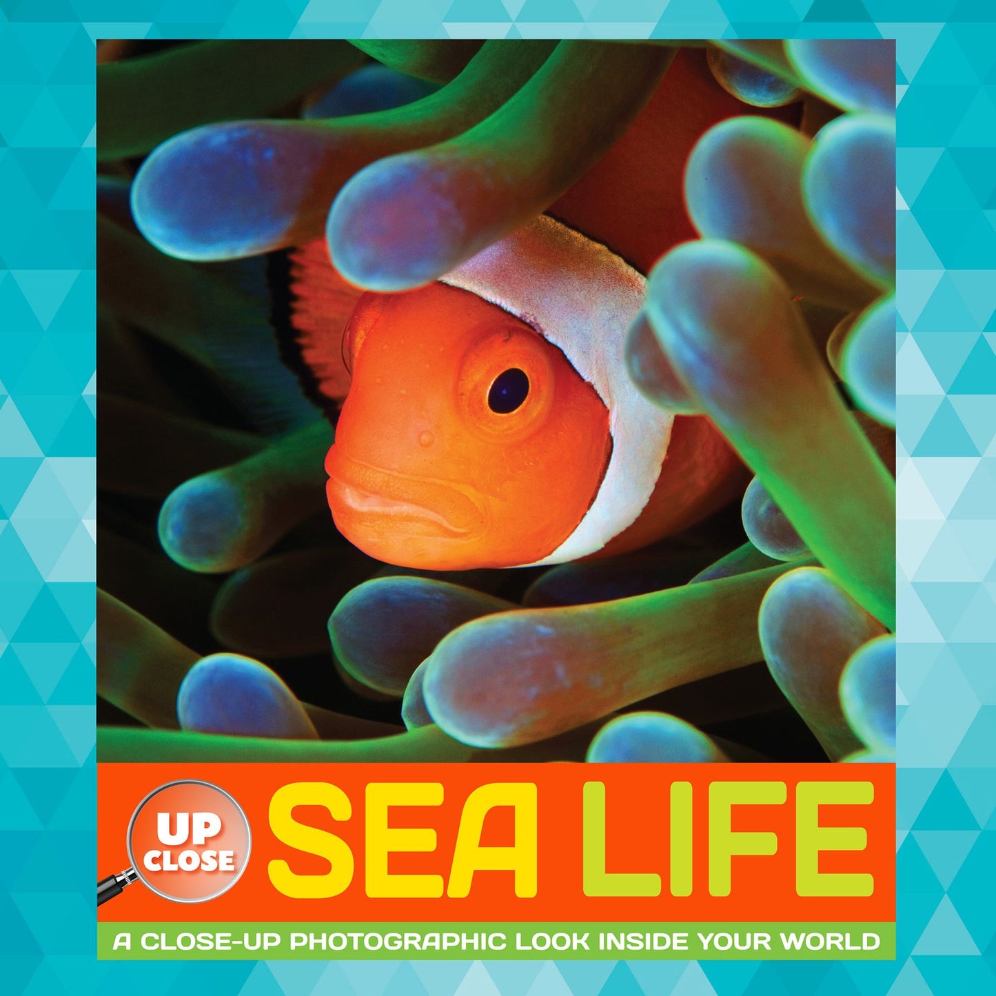 Sea Life: A close-up photographic look inside your world (PagePerfect NOOK Book)