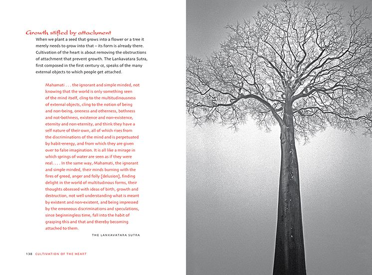 Teachings of the Buddha: The Wisdom of the Dharma, from the Pali Canon to the Sutras