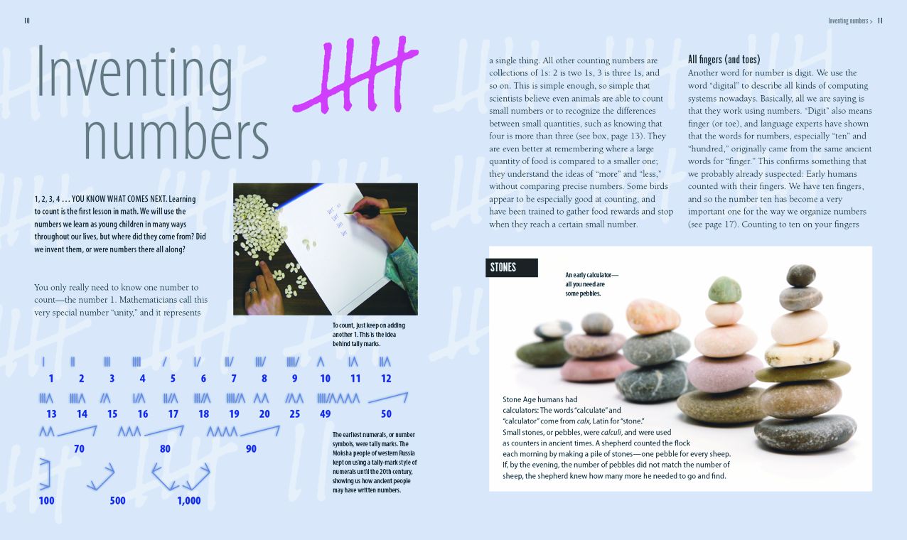 Numbers: How Counting Changed the World