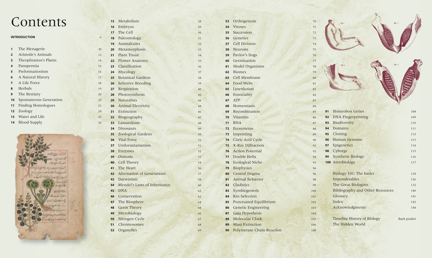 Biology: An Illustrated History of Life Science (100 Ponderables)