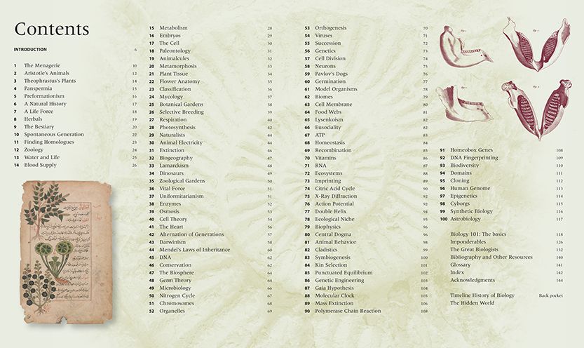 Biology: An Illustrated History of Life Science (100 Ponderables)