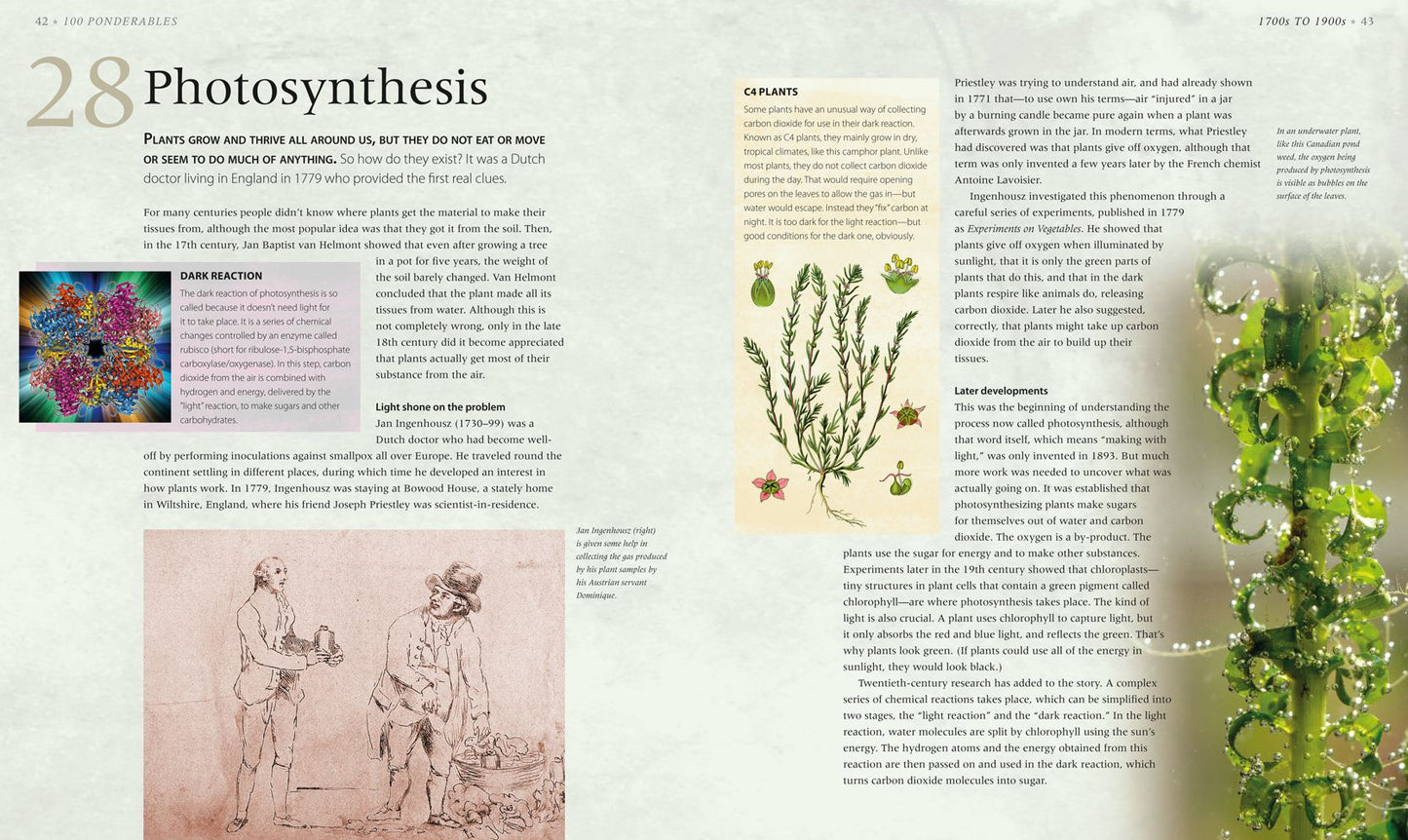 Biology: An Illustrated History of Life Science (100 Ponderables)