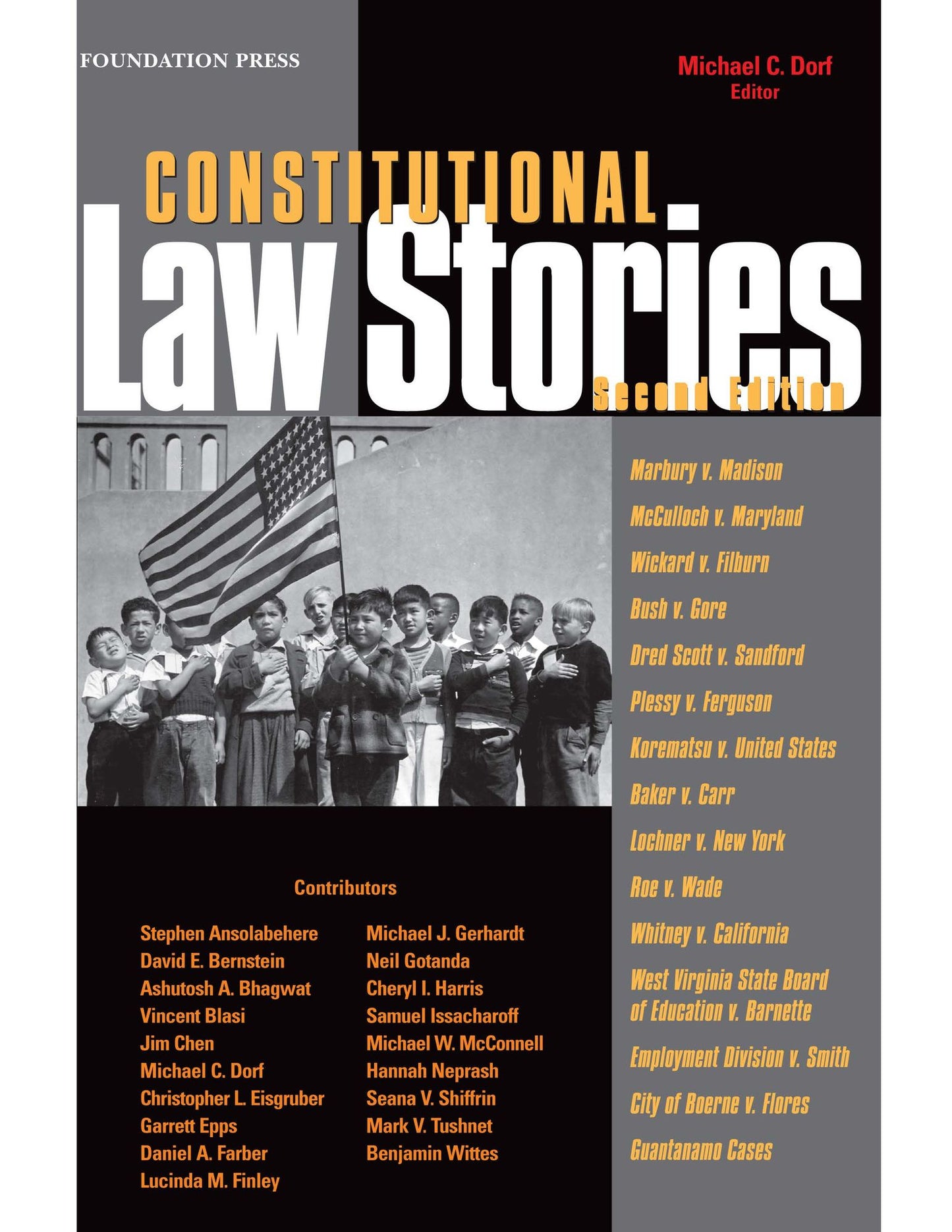 Constitutional Law Stories