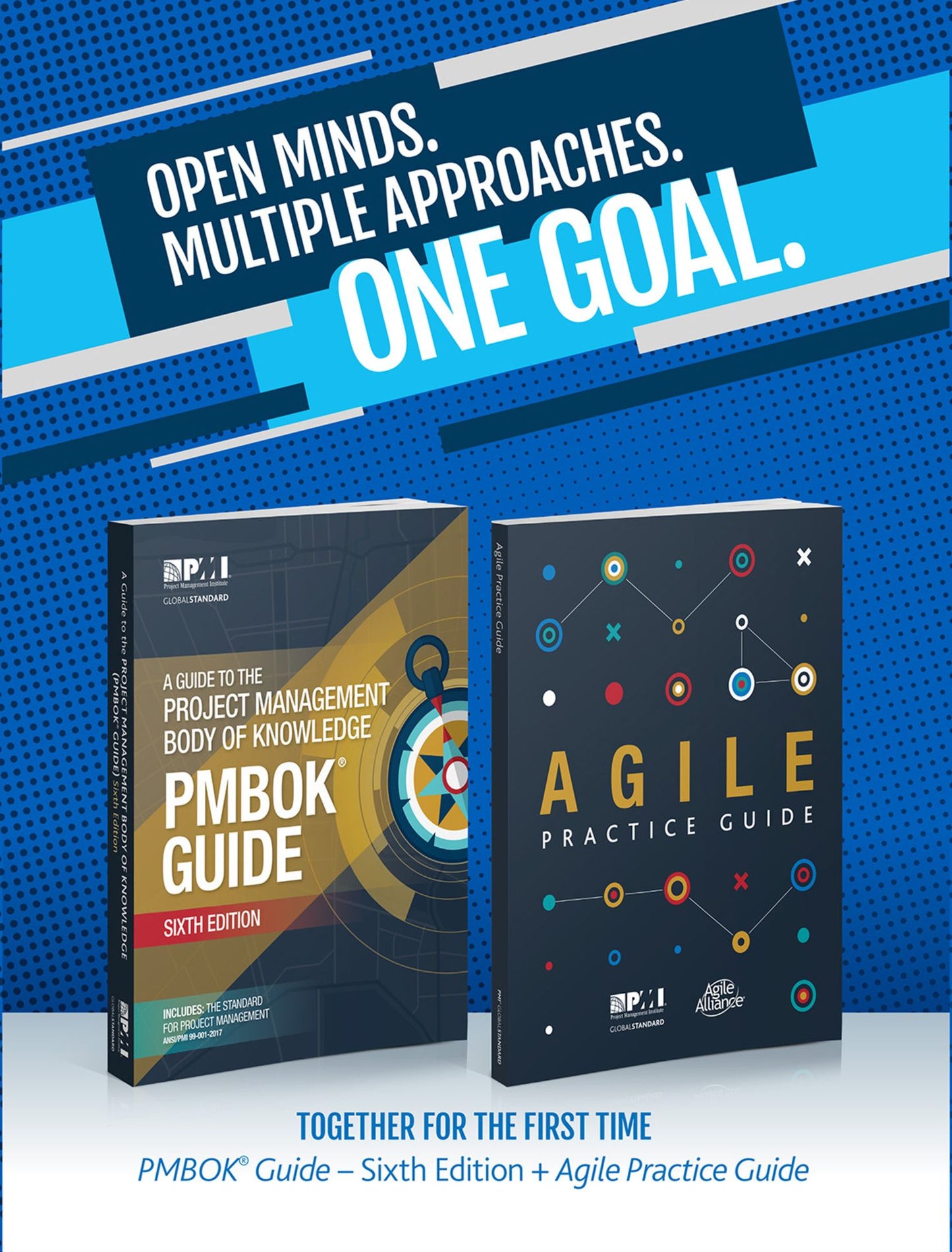 Guide to the Project Management Body of Knowledge (PMBOK Guide) -- Sixth Edition and Agile Practice Guide (ENGLISH)
