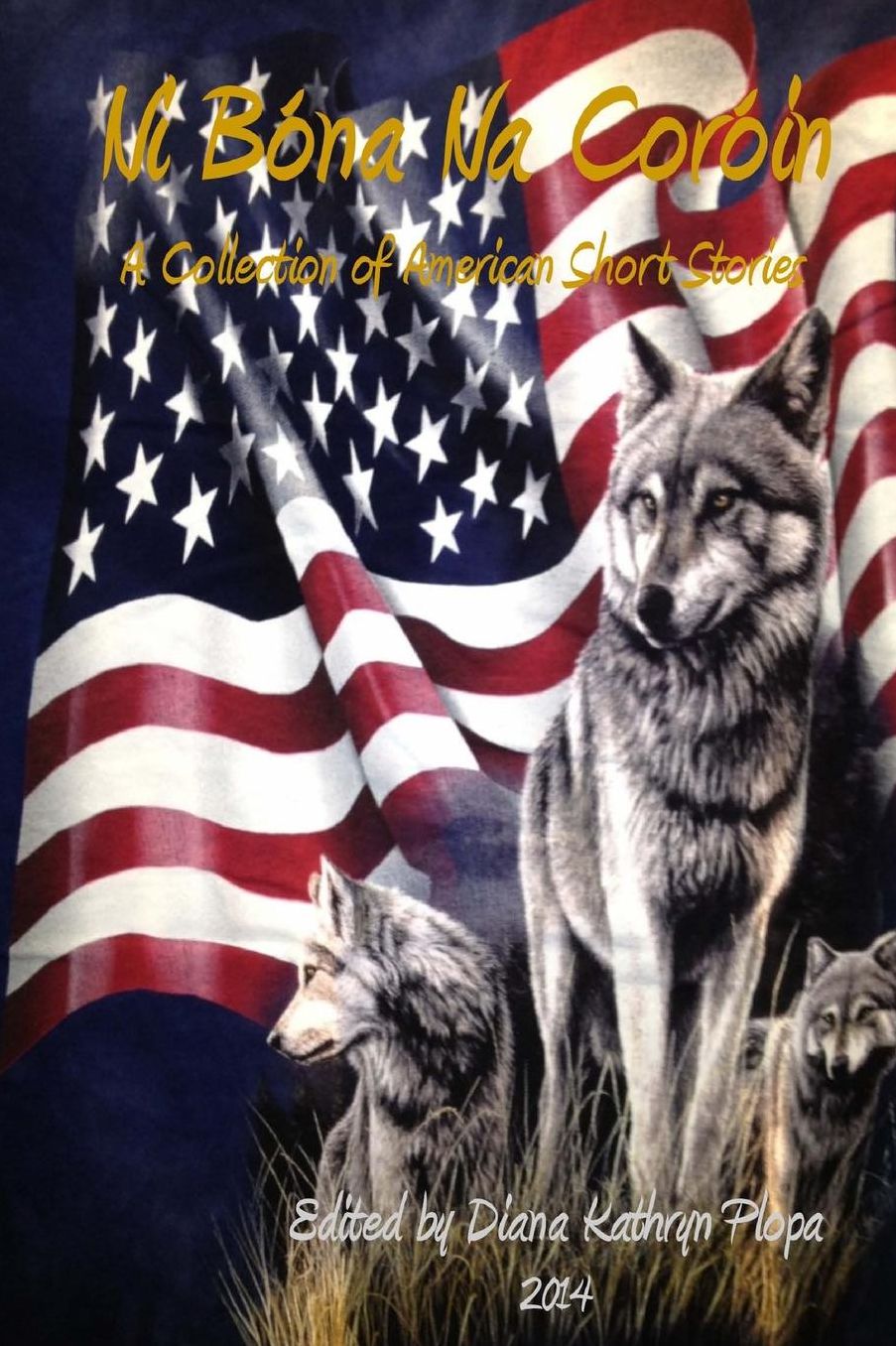 Ni Bona Na Coroin: 2014: A Collection of American Short Stories