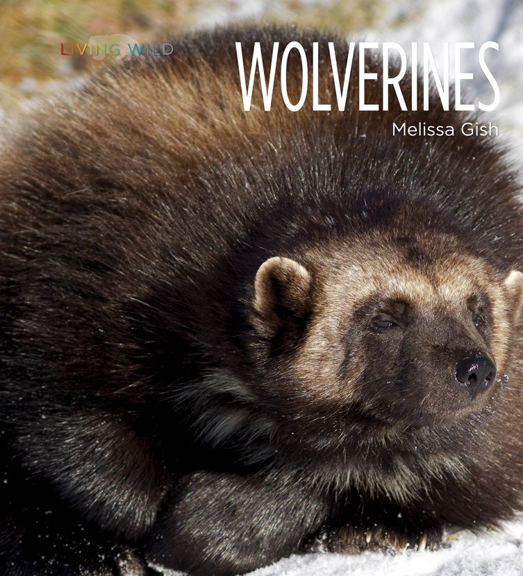 Wolverines