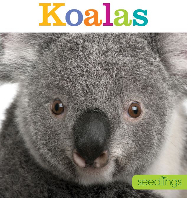 Seedlings: Koalas