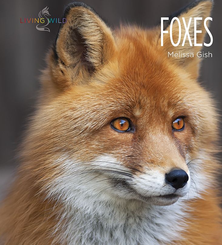 Foxes