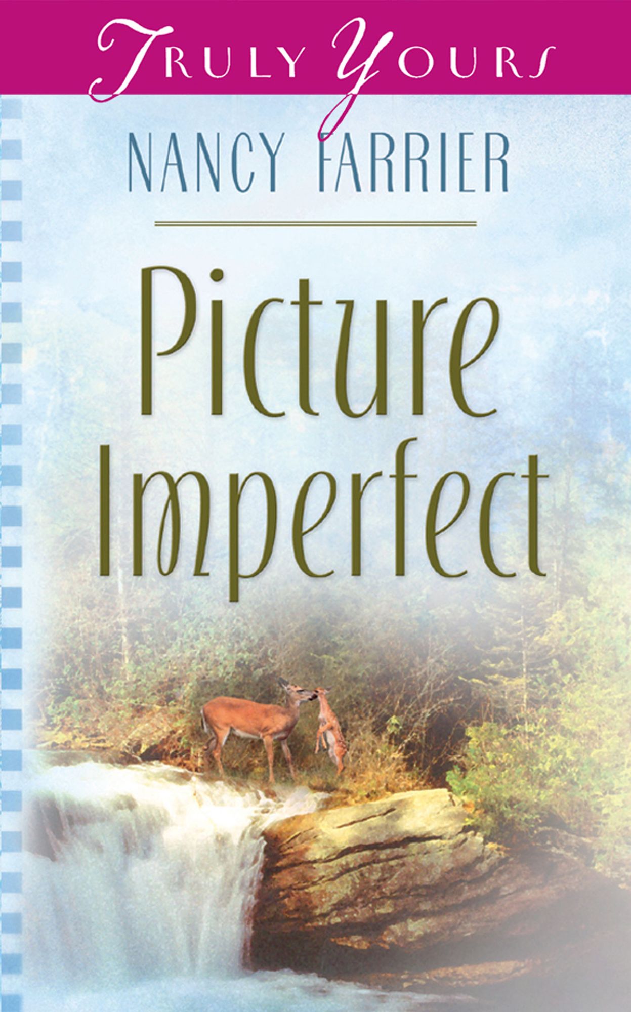 Picture Imperfect