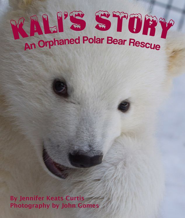 Kali's Story : An Orphaned Polar Bear Rescue