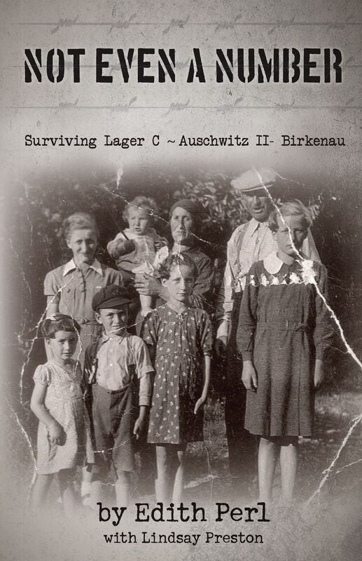 Not Even A Number: Surviving Larger C - Auschwitz II - Birkenau
