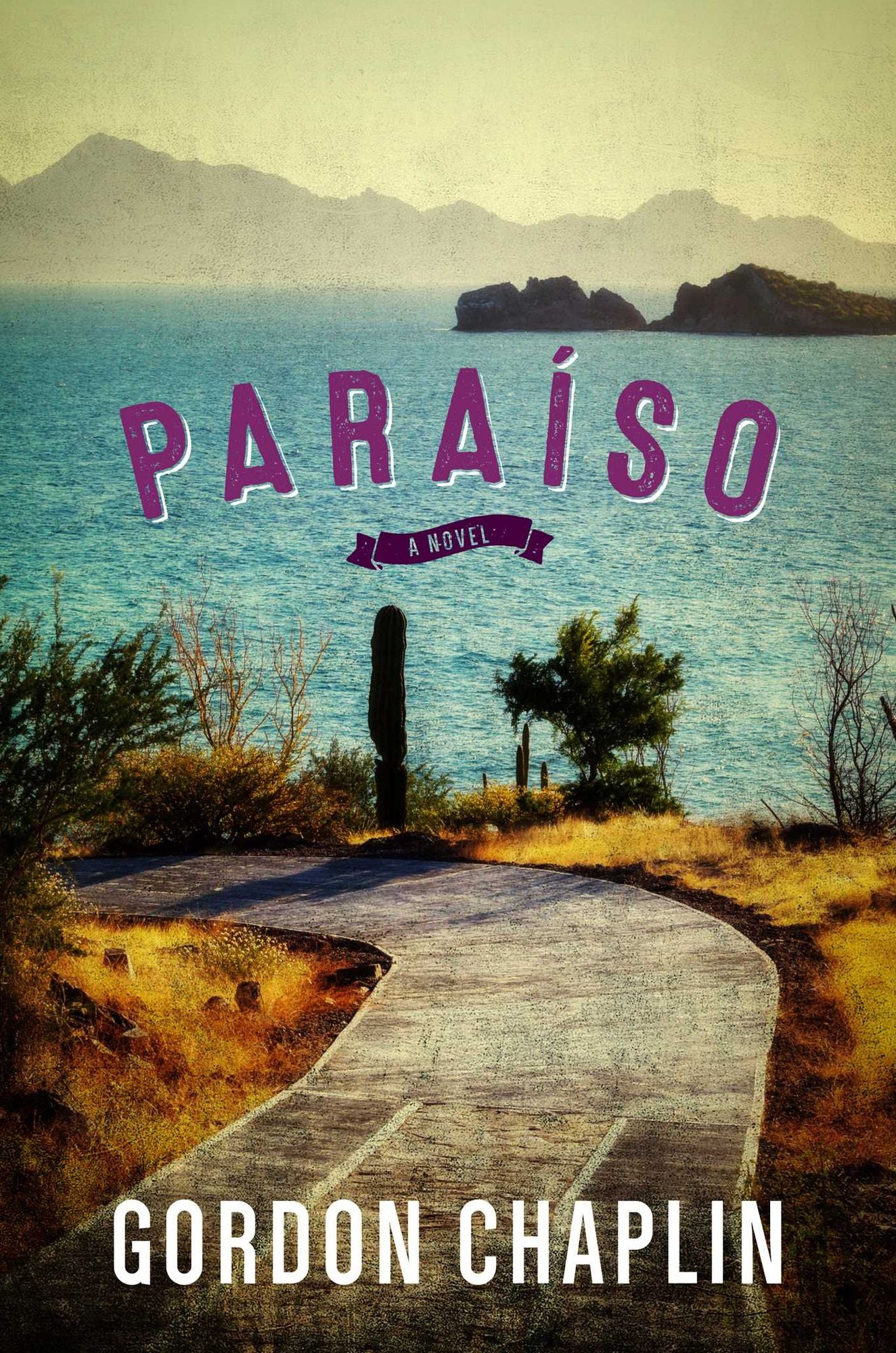 ParaÃ¯Â¿Â½so: A Novel
