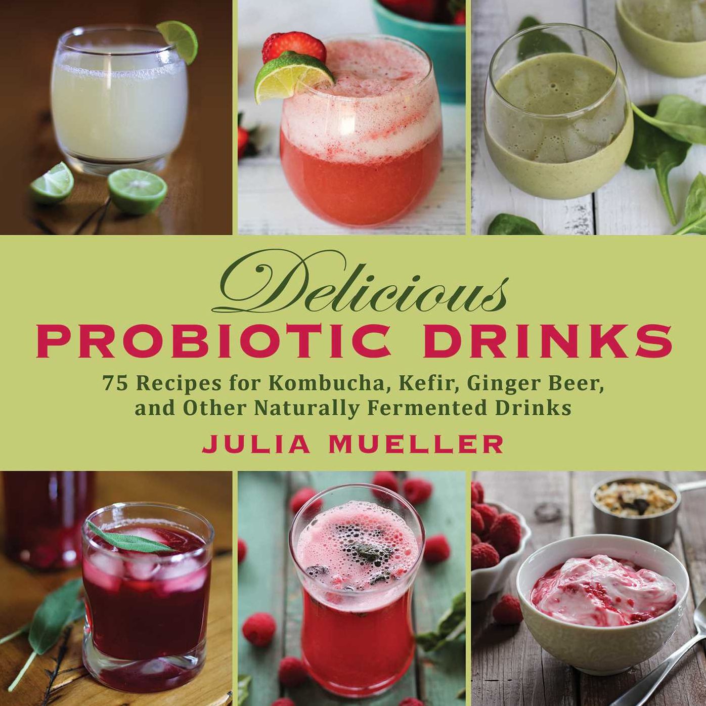 Delicious Probiotic Drinks: 75 Recipes for Kombucha, Kefir, Ginger Beer, and Other Naturally Fermented Drinks