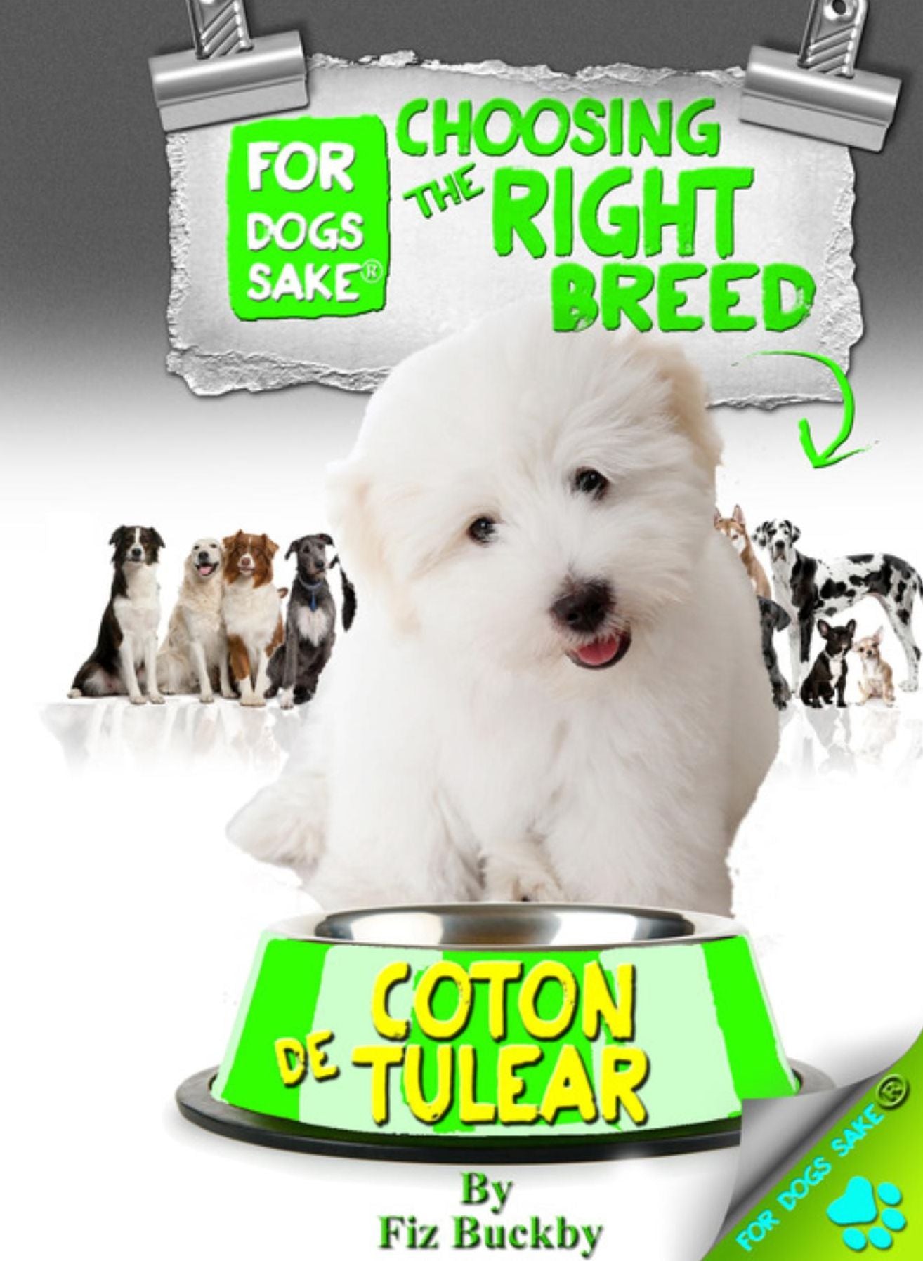Choosing the Right Breed - Coton de Tulears
