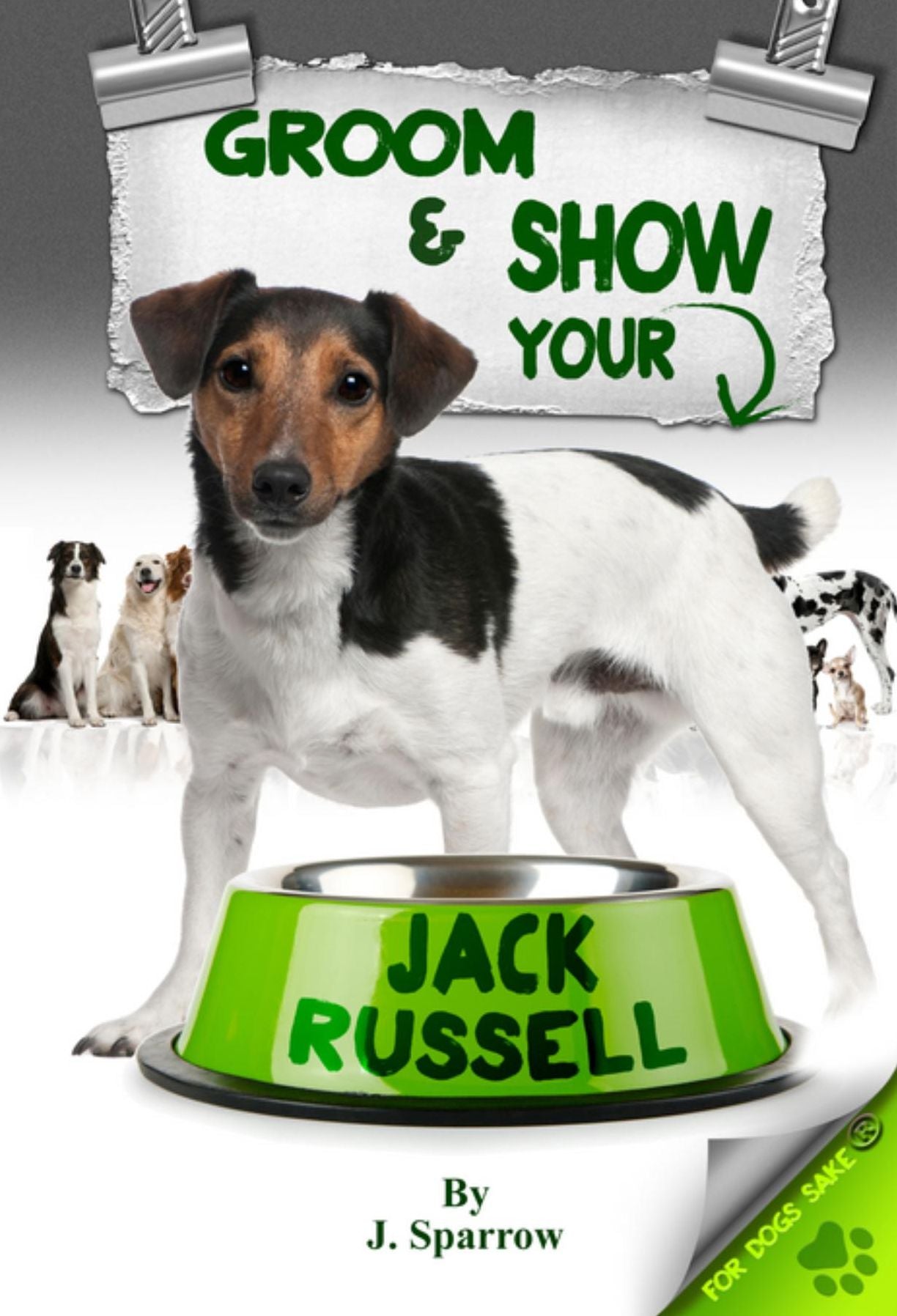 Grooming ans Showing your Jack Russell