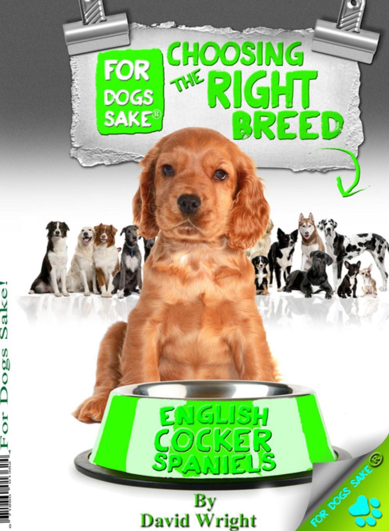 Choosing the Right Breed - English Cocker Spaniels