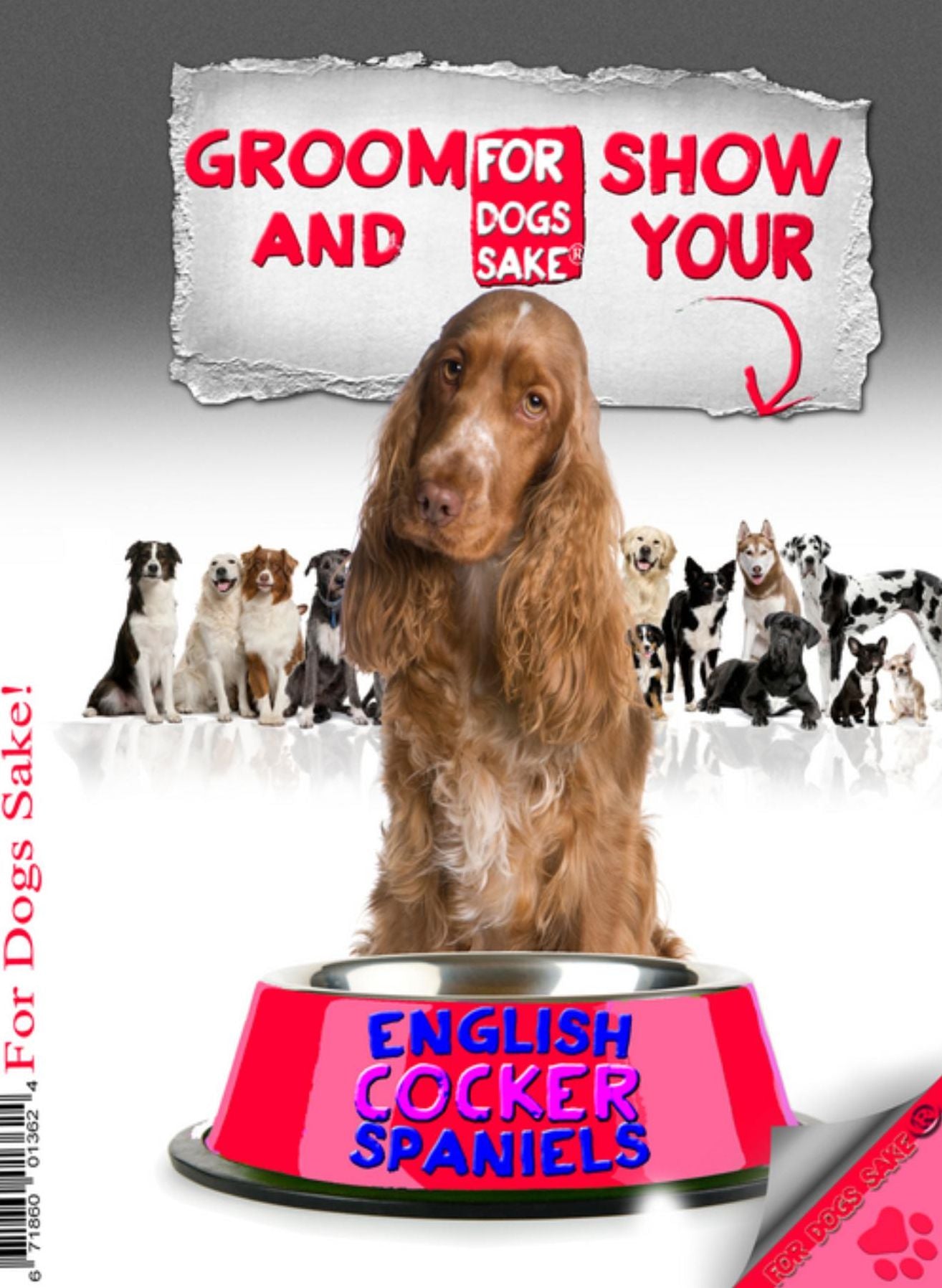 Groom & Show your English Cocker Spaniel