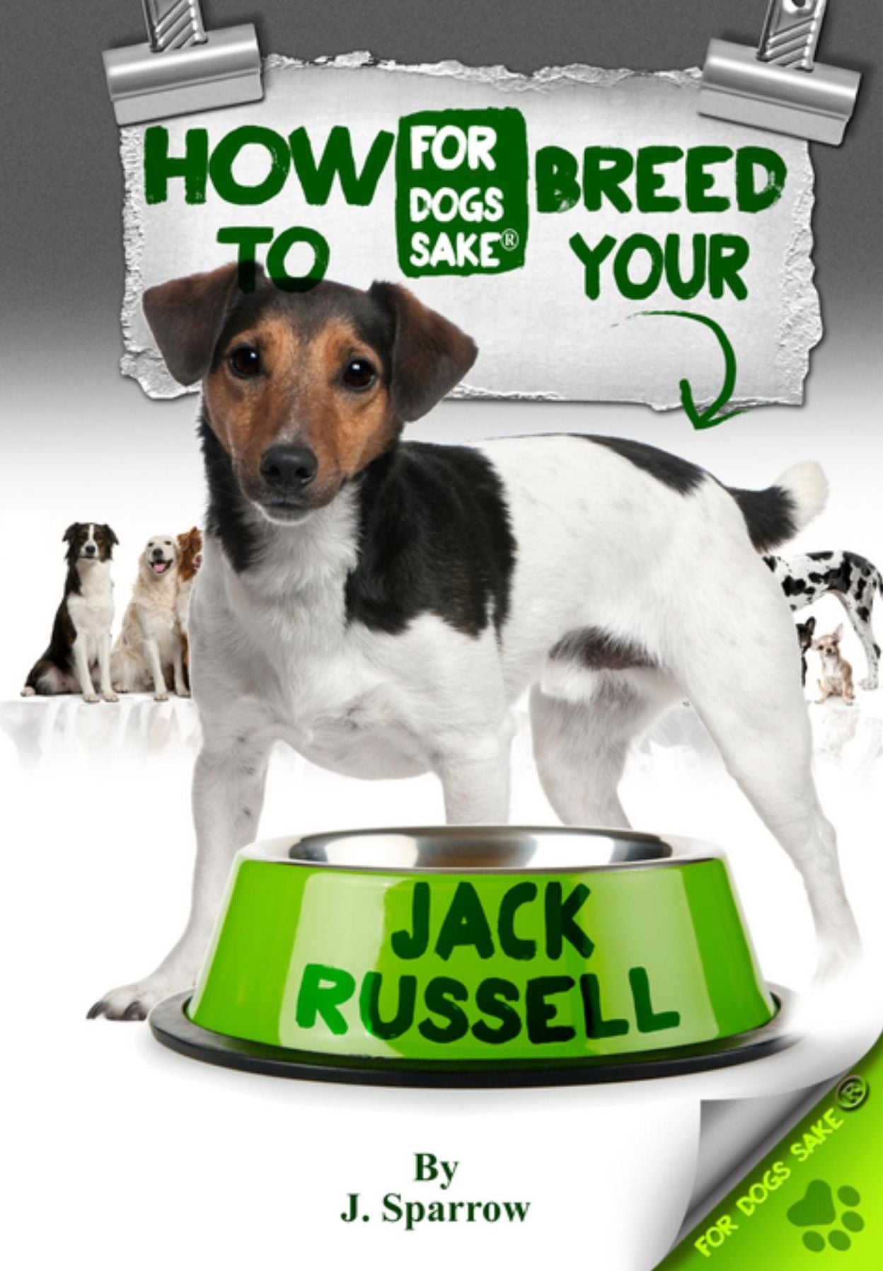 How to Breed your Jack Russell