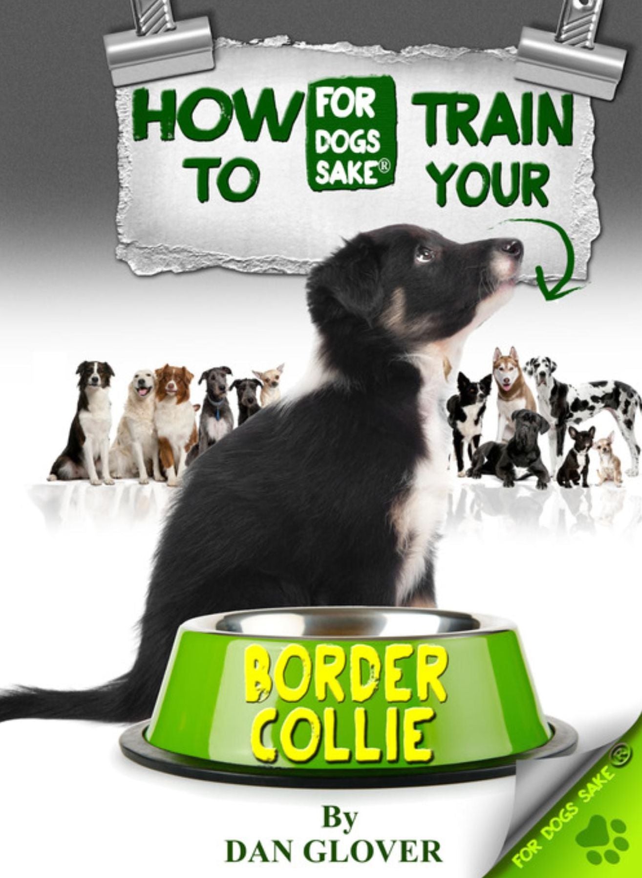How to Train Your Border Collie