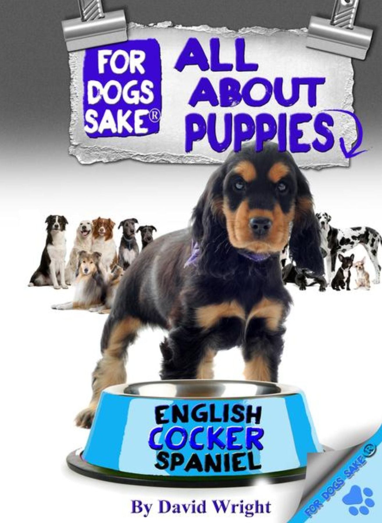 All About English Cocker Spaniel Puppies
