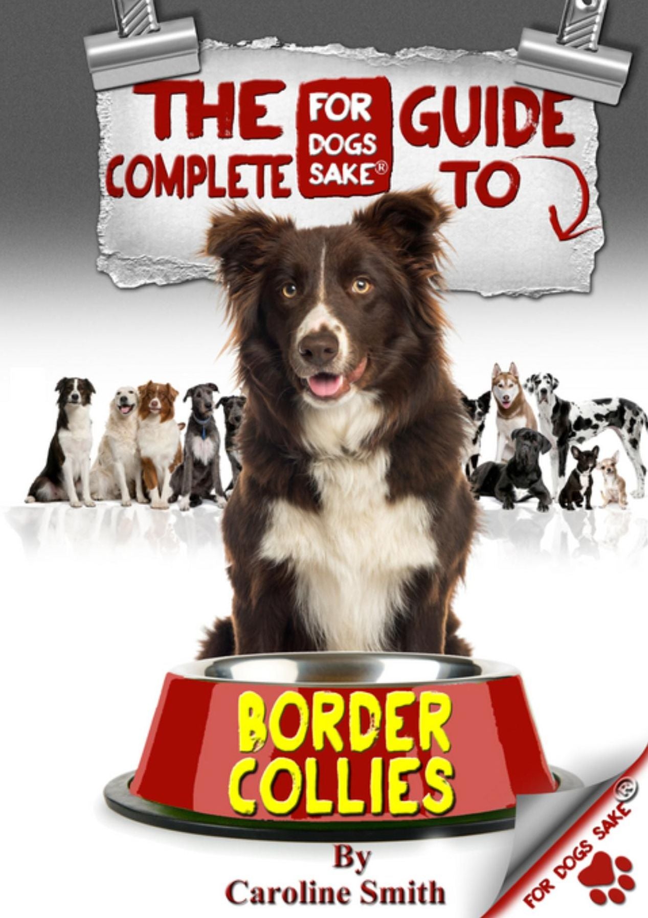 The Complete Guide to Border Collies