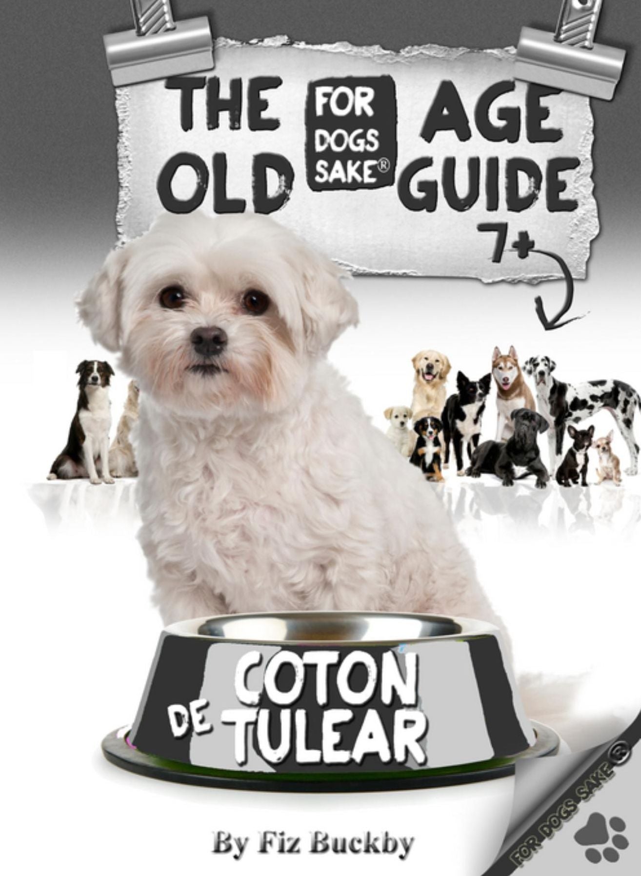 The Coton de Tulear Old Age Guide 7+