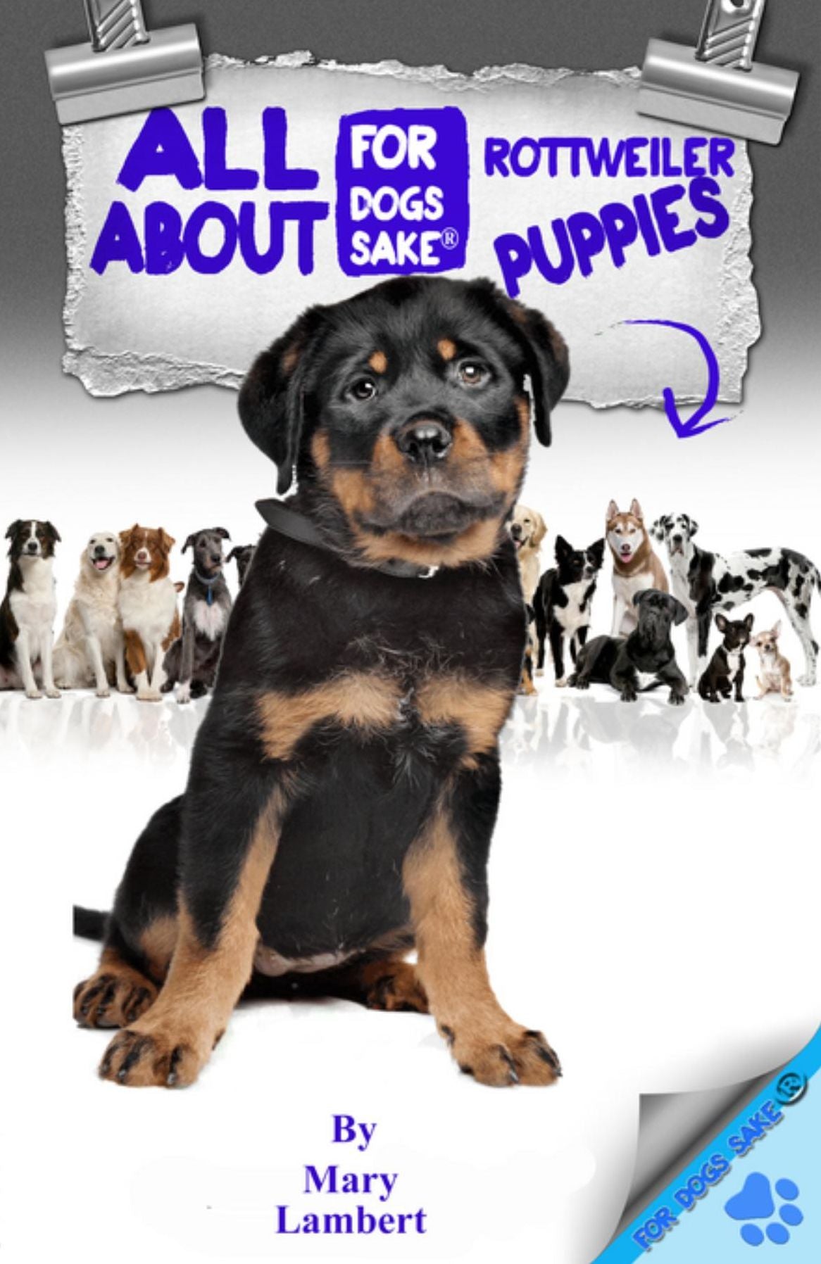 All About Rottweiler Puppies