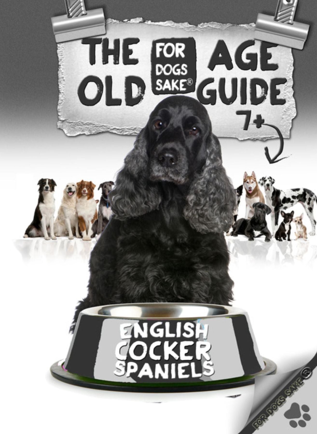 The English Cocker Spaniel Old Age Care Guide 7+