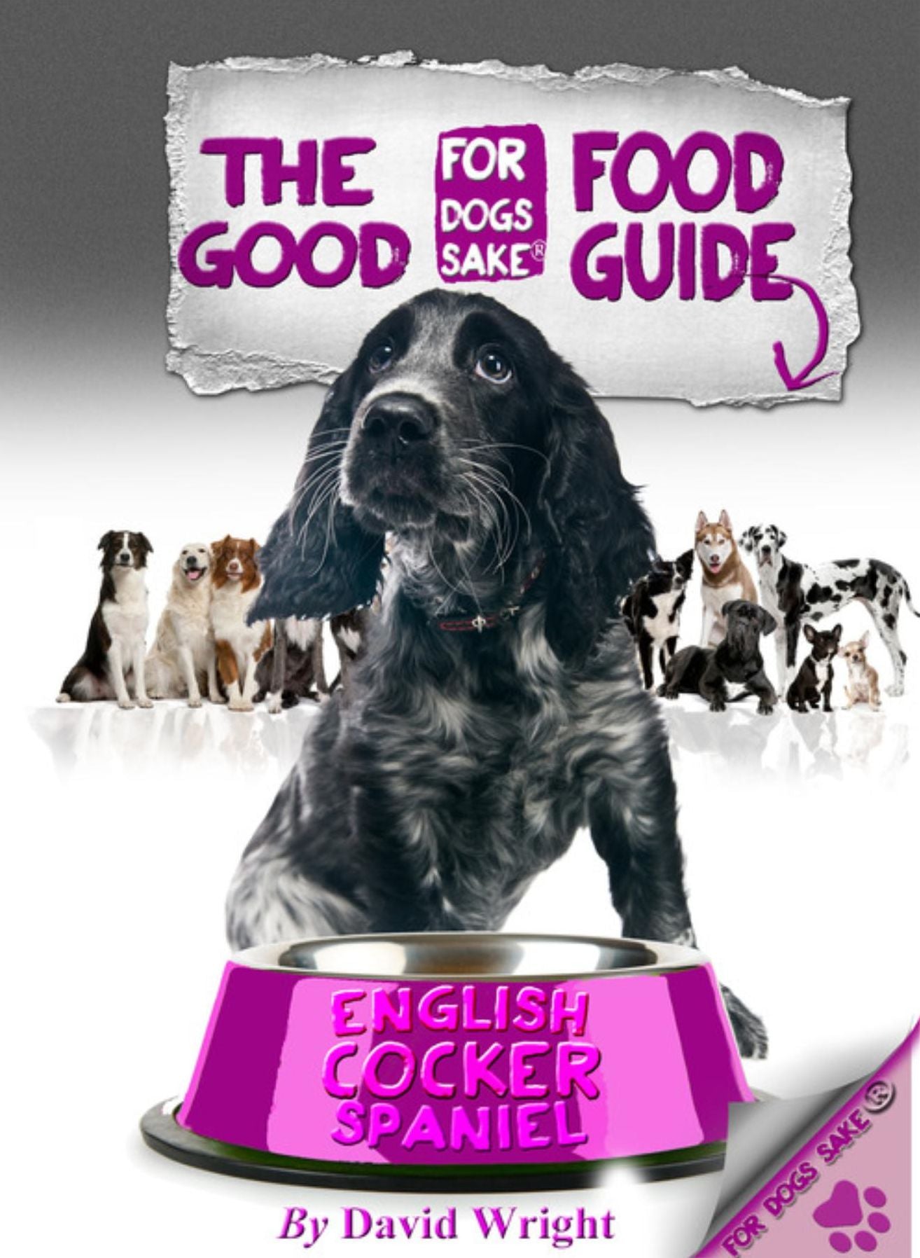 The English Cocker Spaniel Good Food Guide