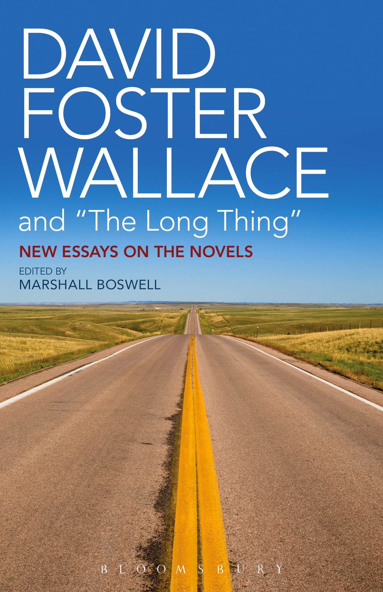 David Foster Wallace and "The Long Thing": New Essays on the Novels