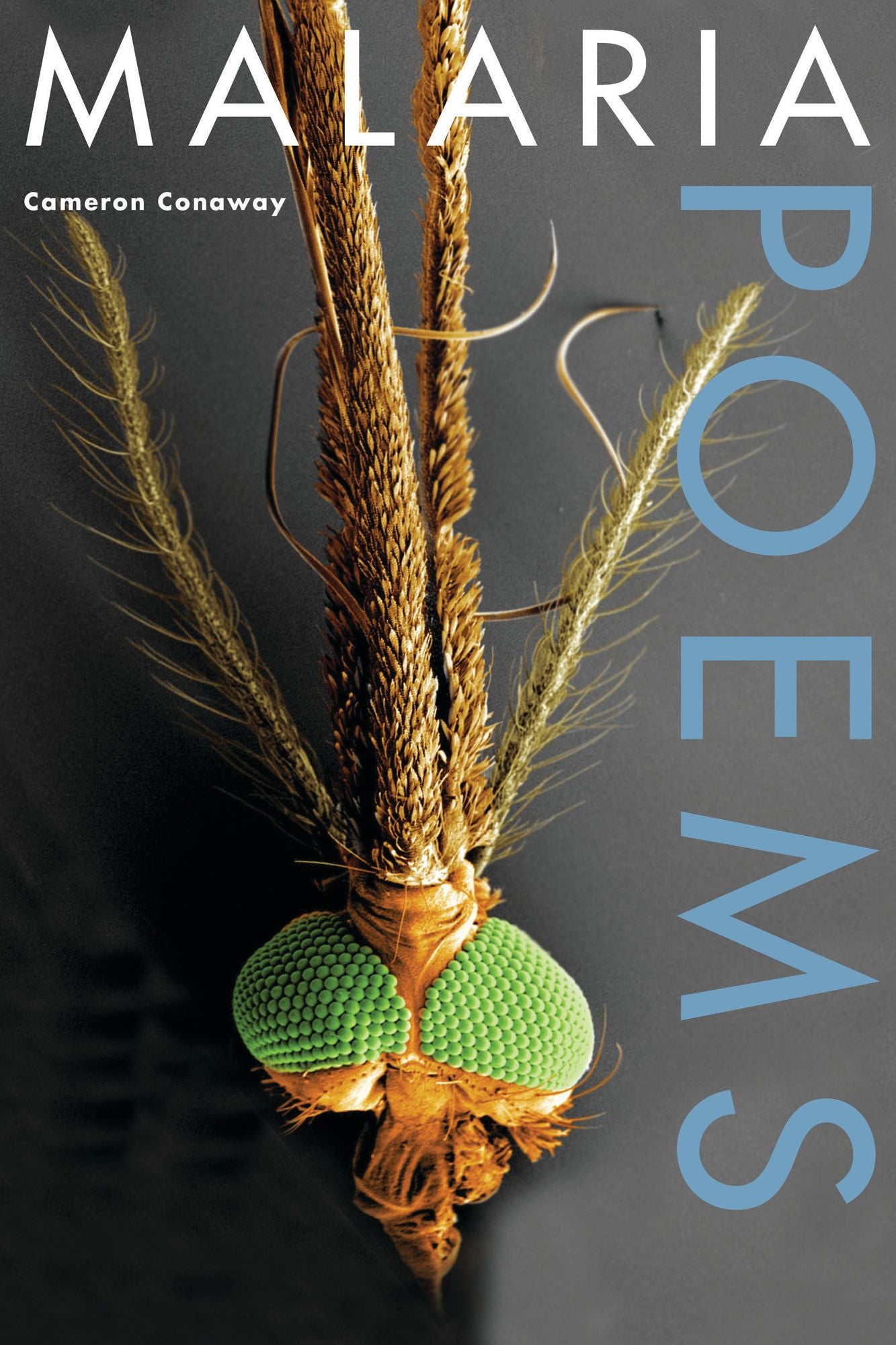 Malaria, Poems