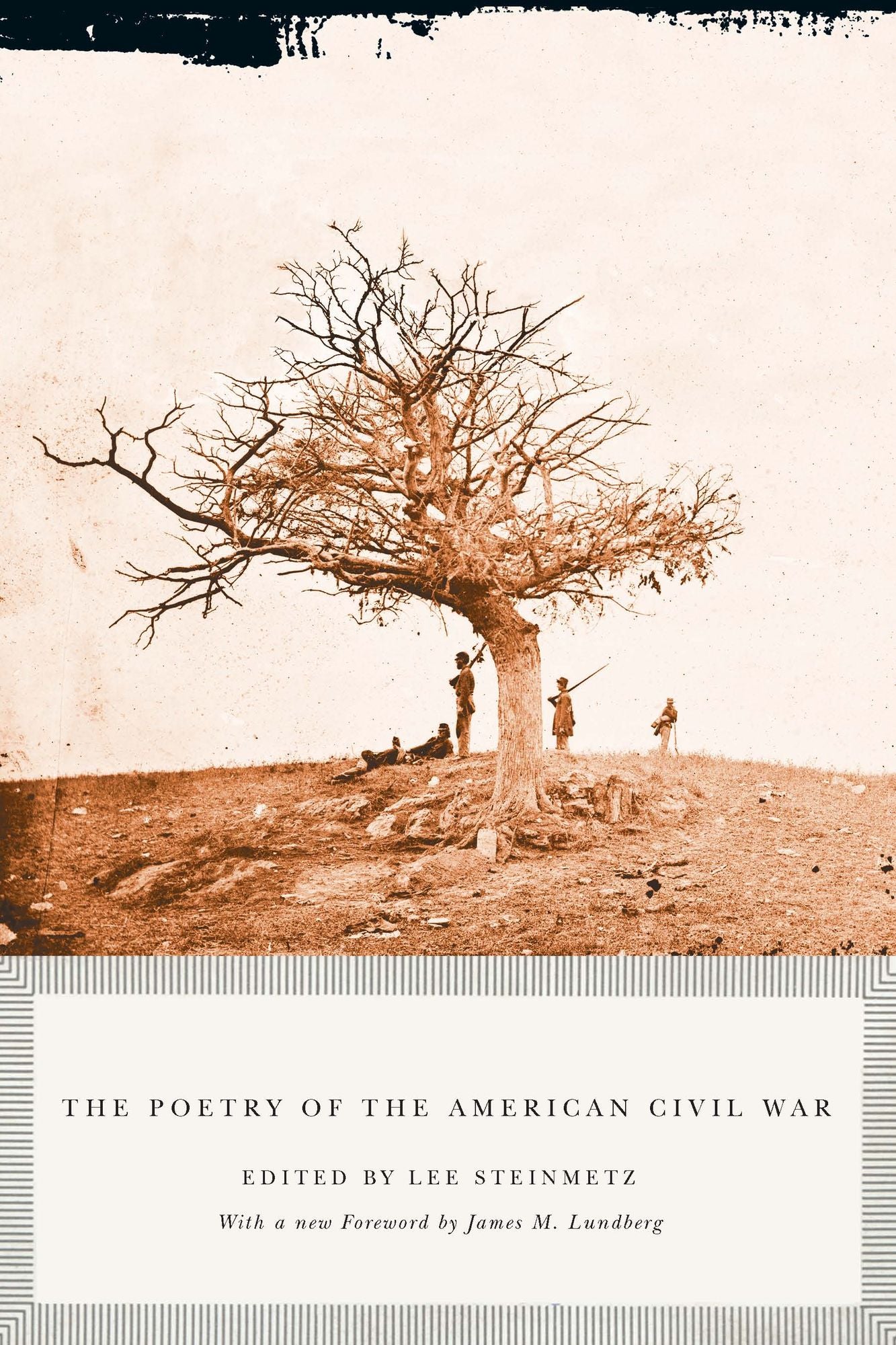 The Poetry of the American Civil War