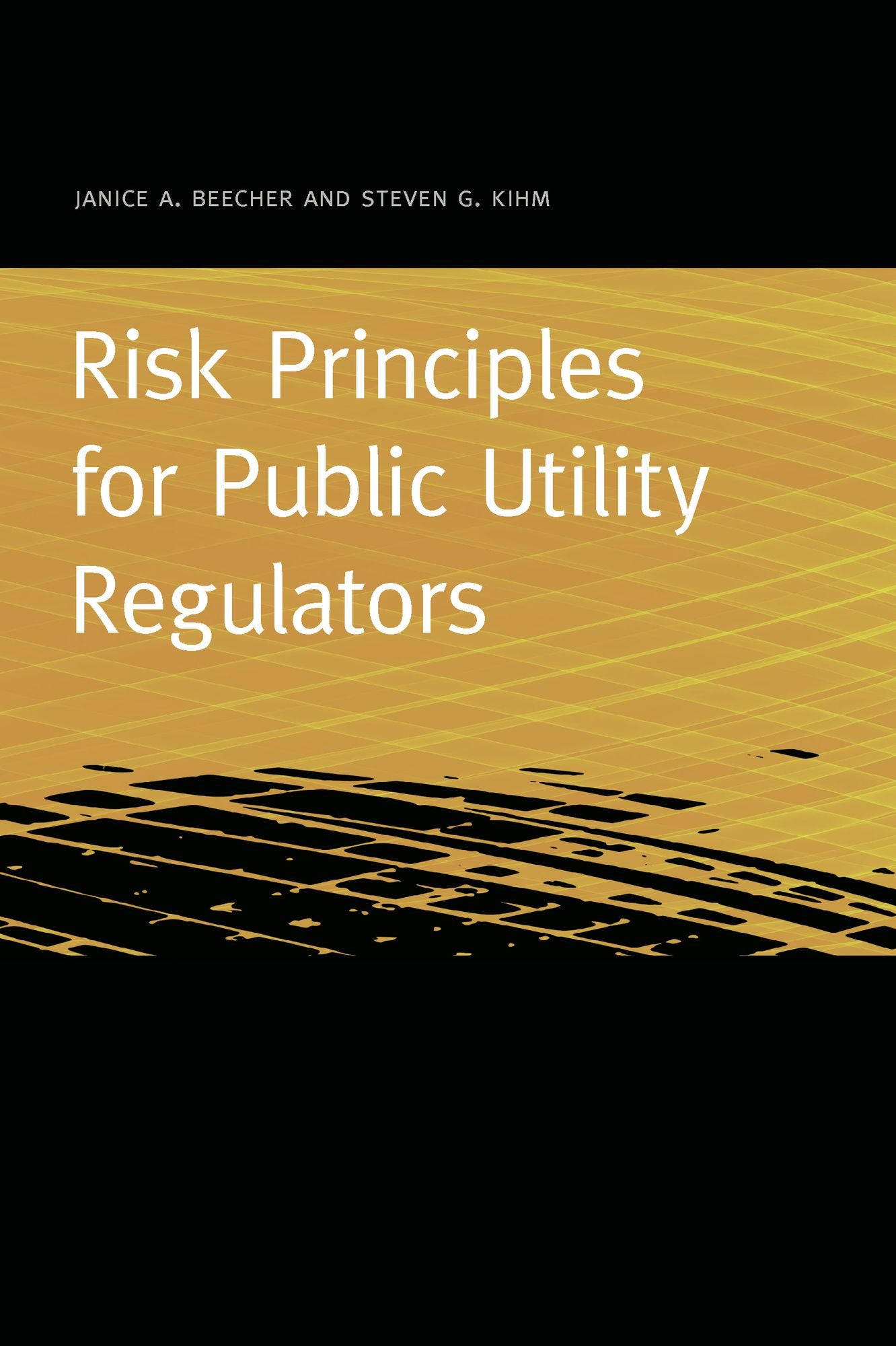 Risk Principles for Public Utility Regulators
