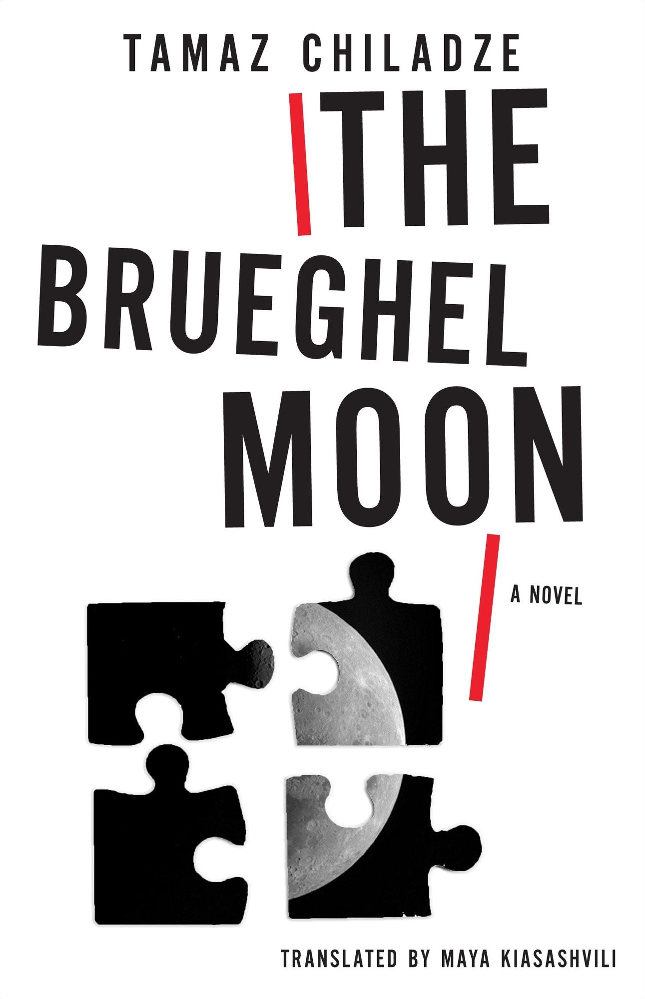 Brueghel Moon: A Novel