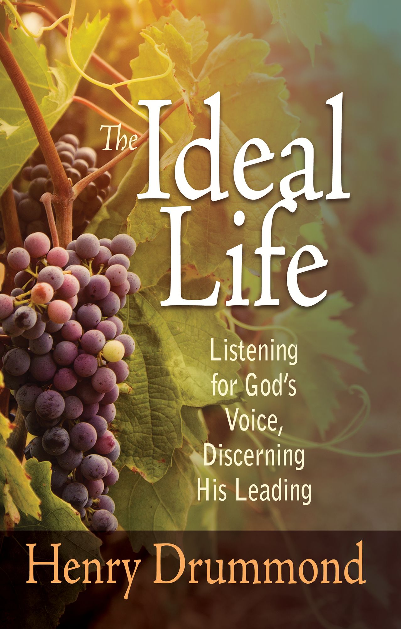The Ideal Life: Listening For God's Voice, Discerning His Leading