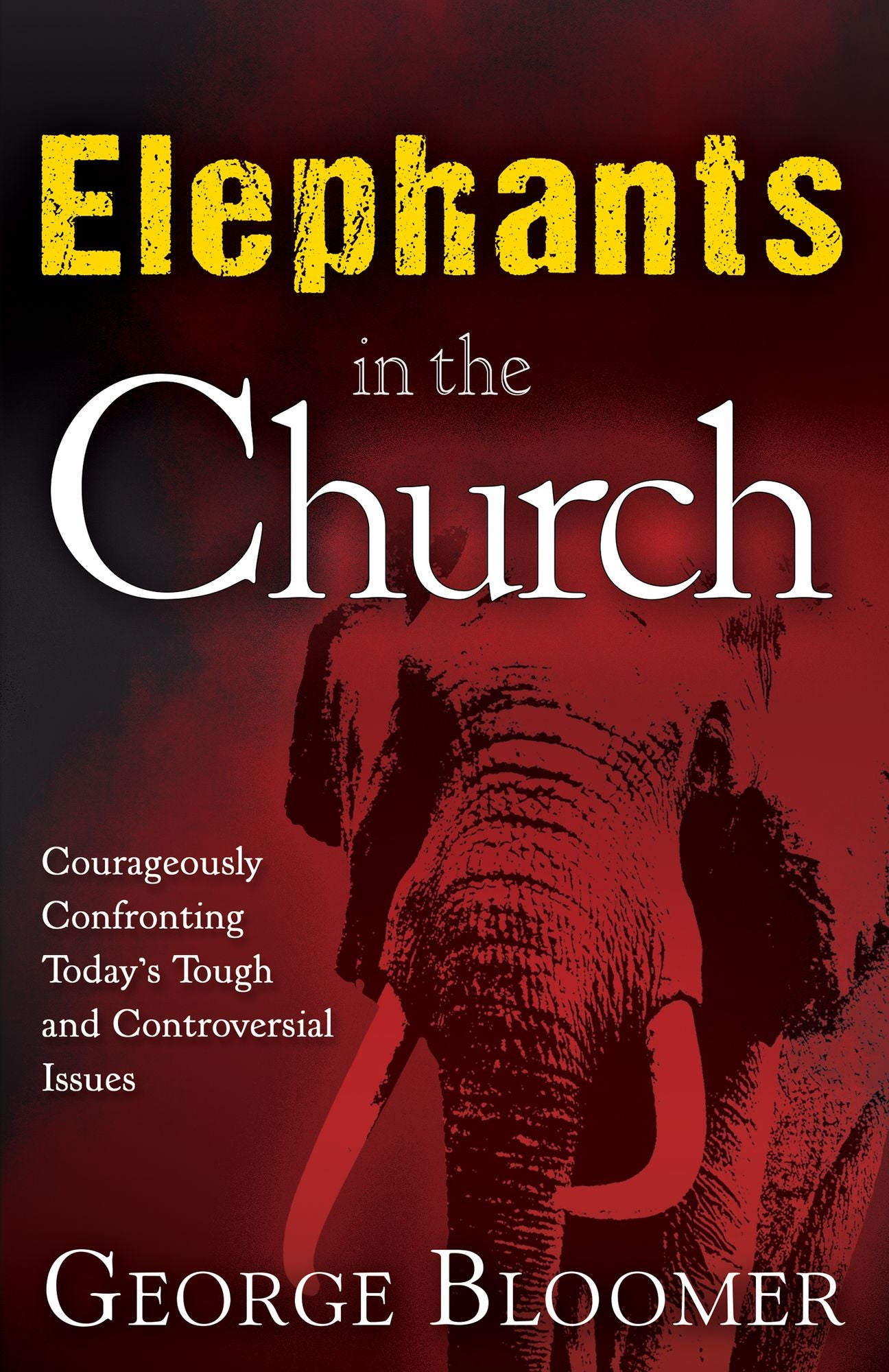 Elephants In The Church: Courageously Confronting Today's Tough and Controversial Issues