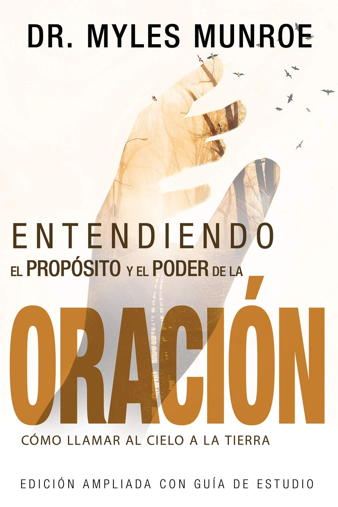 Entendiendo el Proposito y el Poder de la Oracion: Como Llamar al Cielo a la Tierra