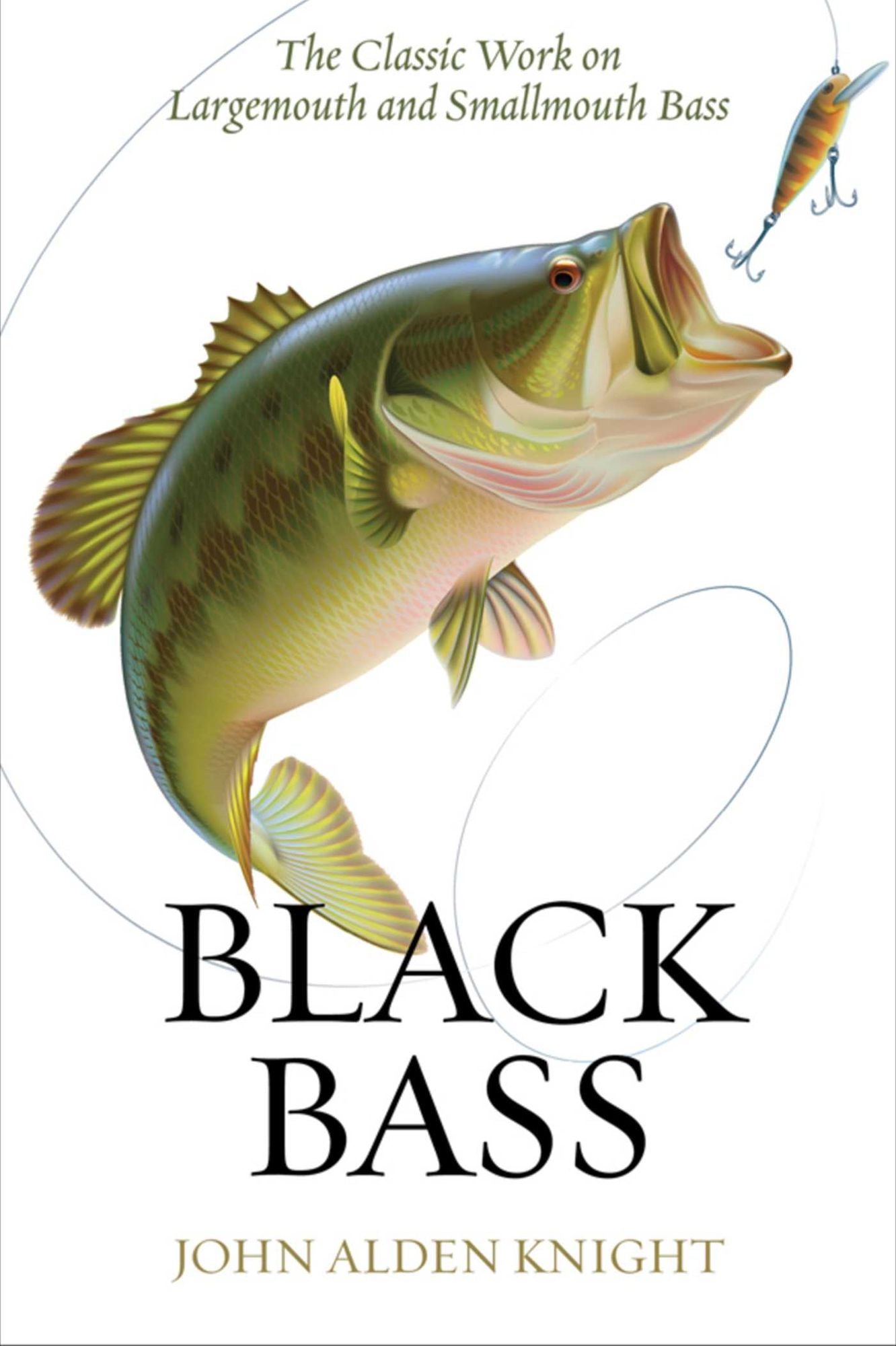 Black Bass