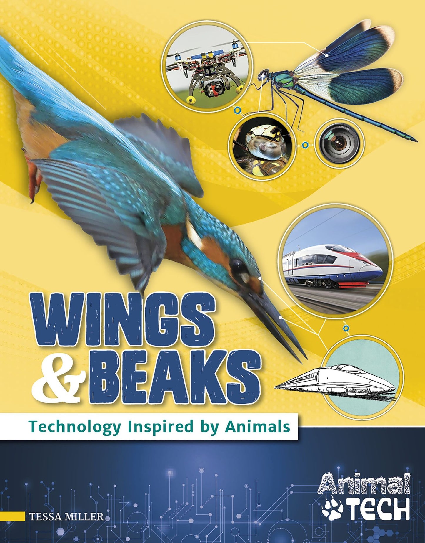 Wings & Beaks: Technology Inspired by Animals