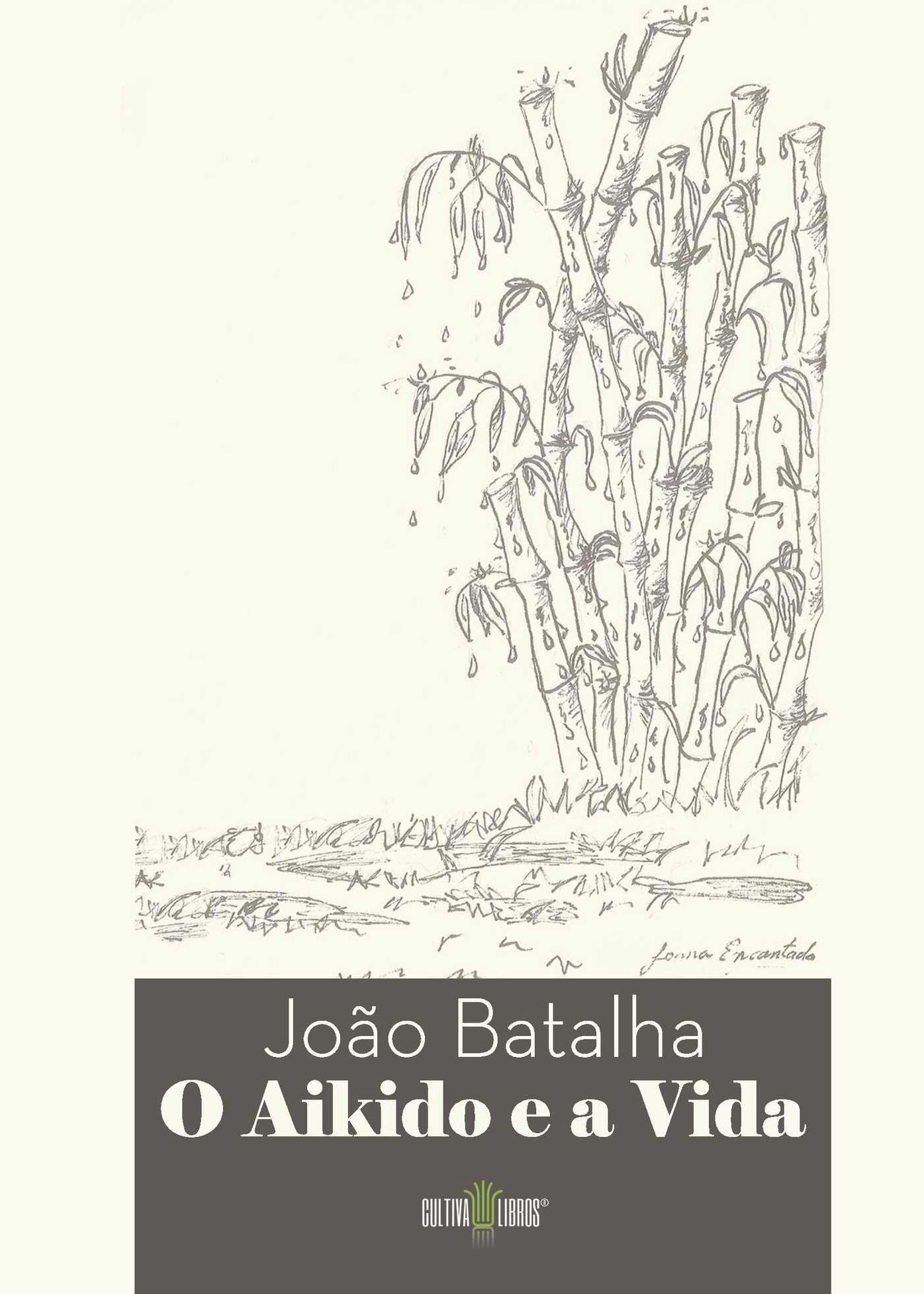 O Aikido e a Vida
