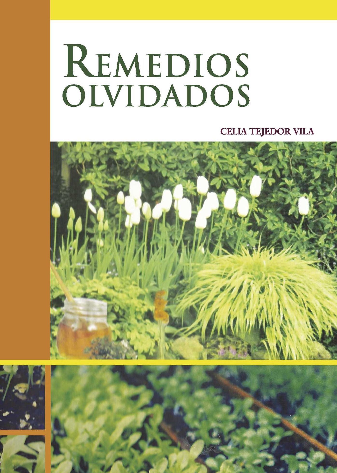 Remedios olvidados
