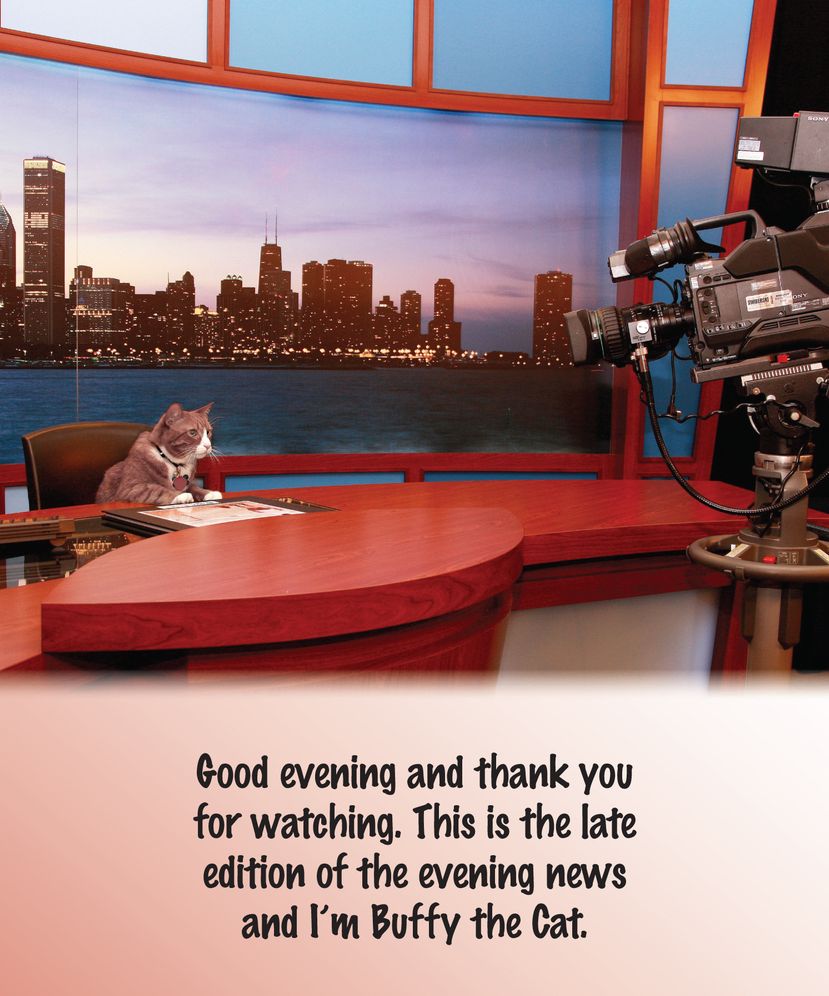 Making the Most of All Nine Lives: The Extraordinary Life of Buffy the Cat