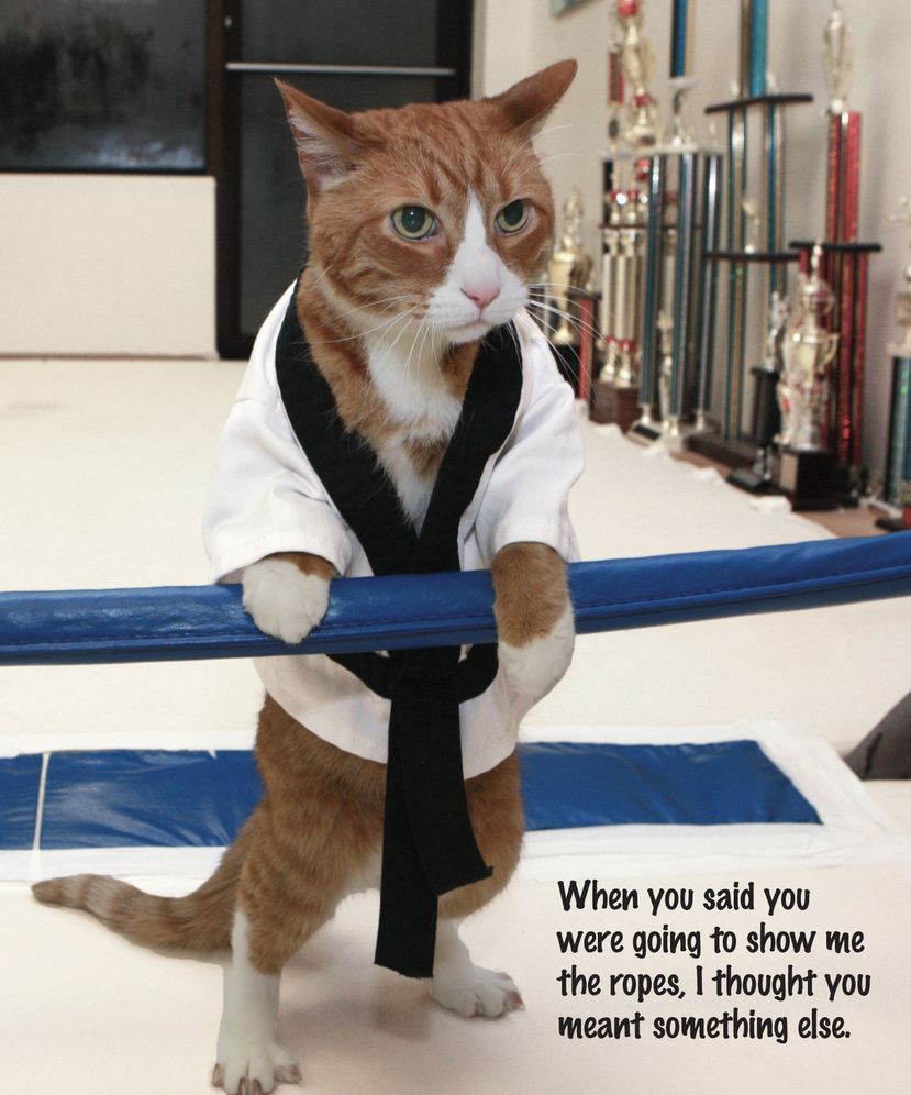 Making the Most of All Nine Lives: The Extraordinary Life of Buffy the Cat