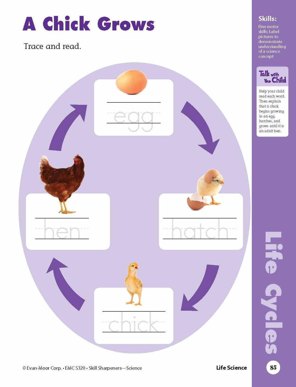 Skill Sharpeners: Science, Kindergarten Workbook