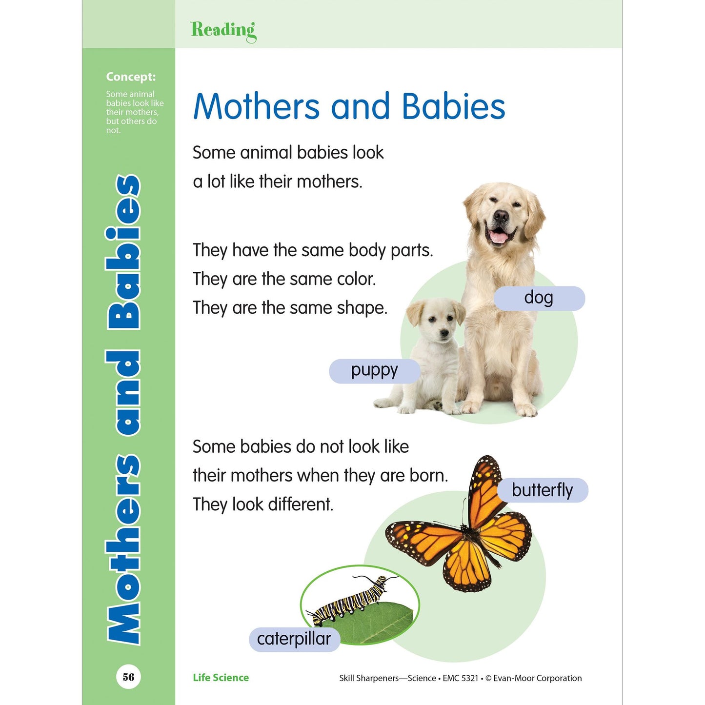 Skill Sharpeners: Science, Grade 1 Workbook
