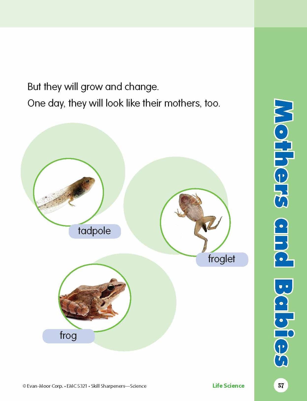 Skill Sharpeners: Science, Grade 1 Workbook