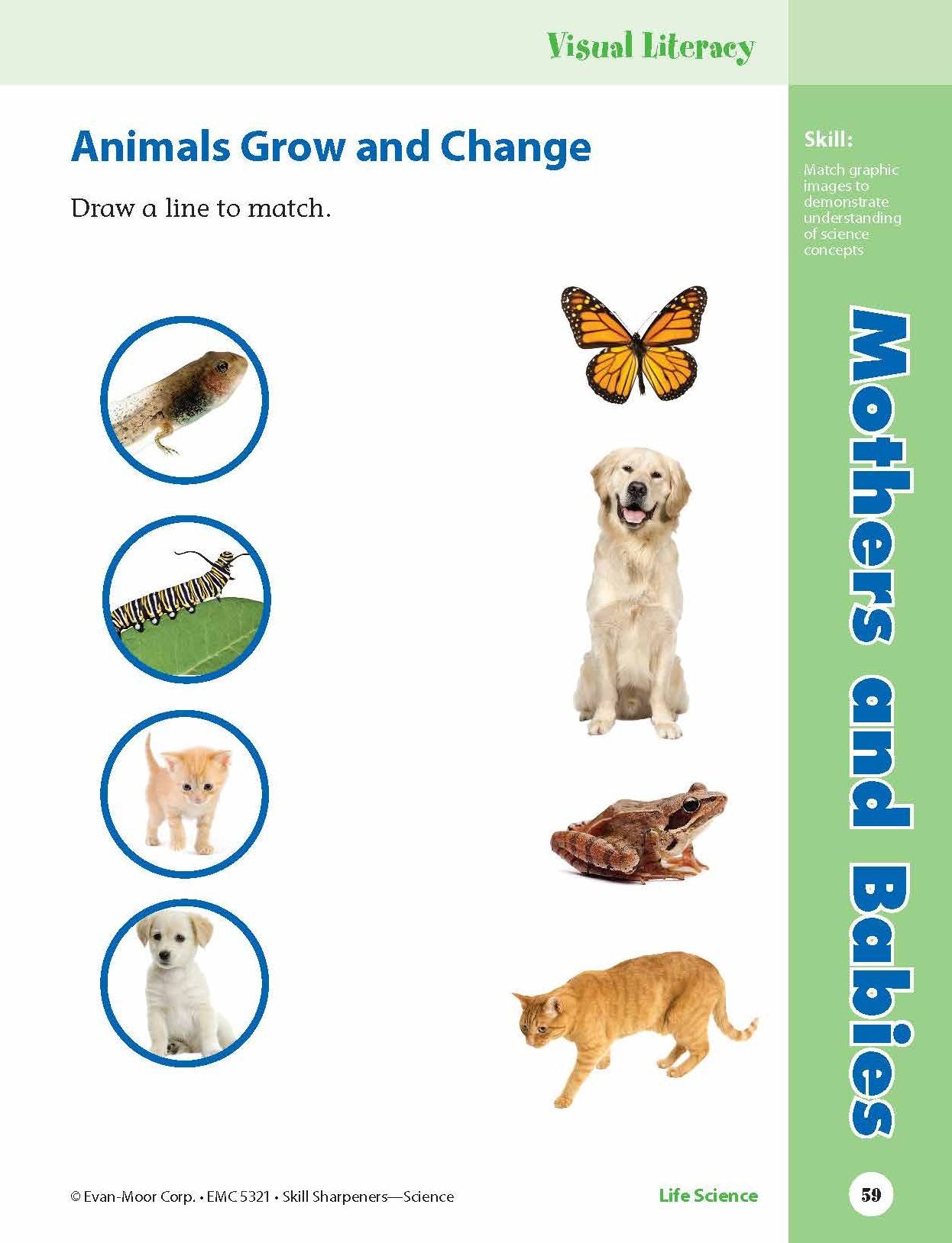Skill Sharpeners: Science, Grade 1 Workbook